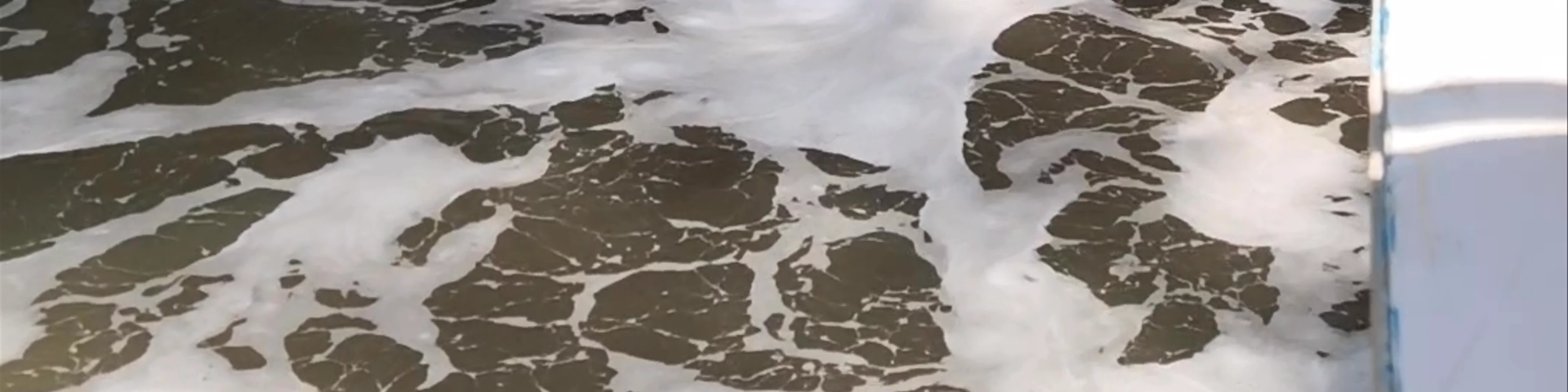 Crocodile Cave