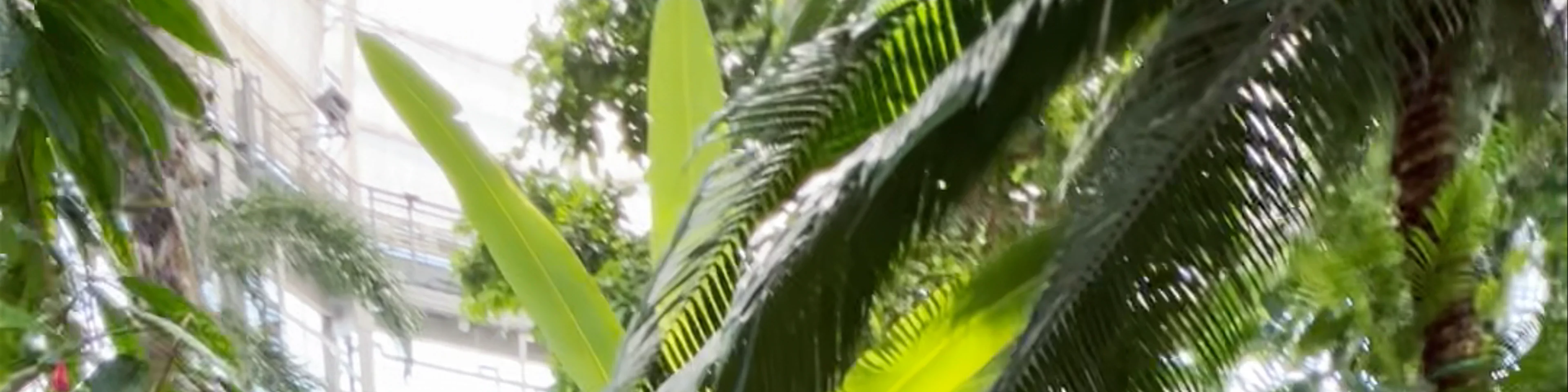 United States Botanic Garden