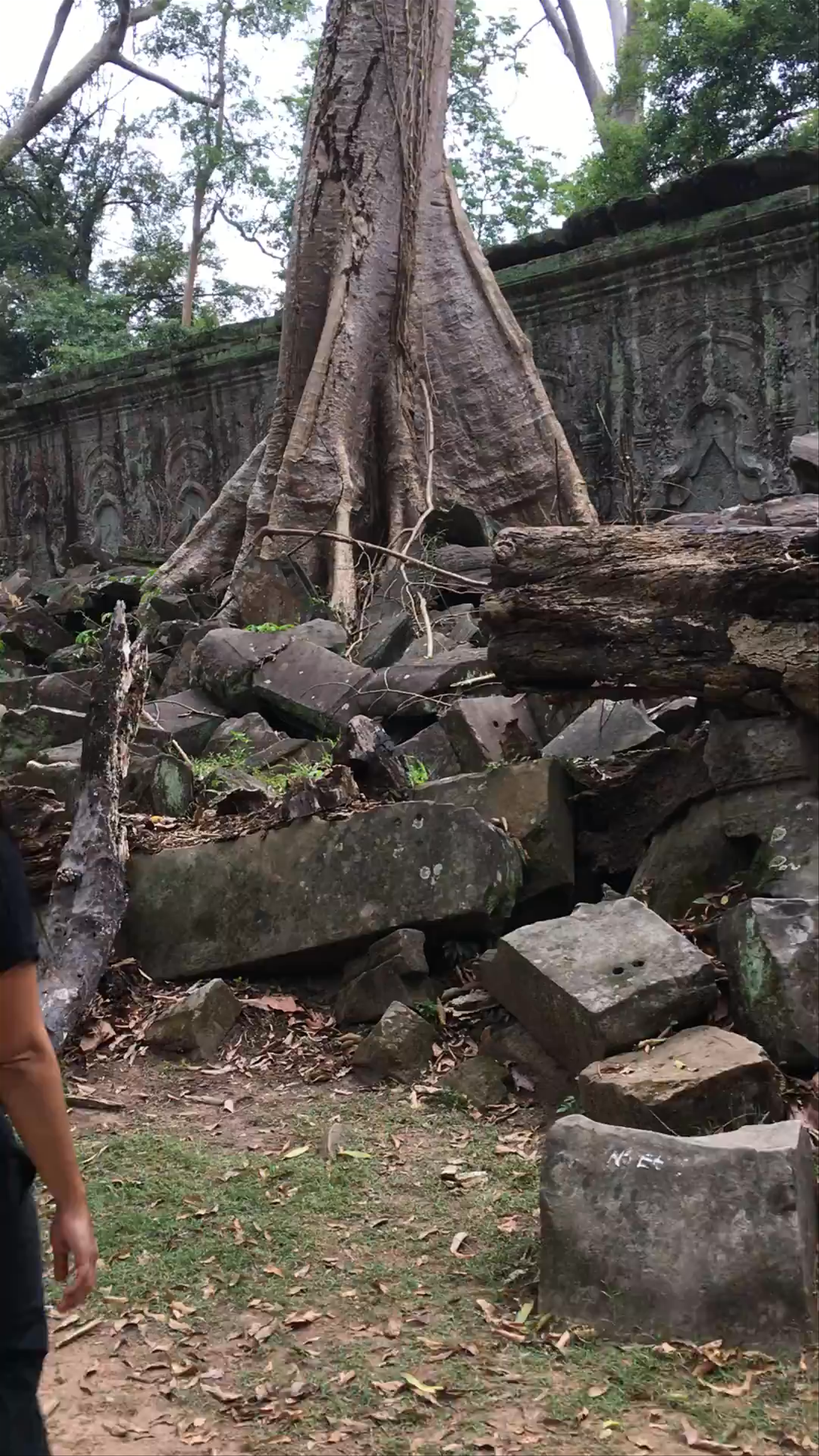Mystical Ruins and Giant Trees of Ta Prohm Kel Temple, Angkor
