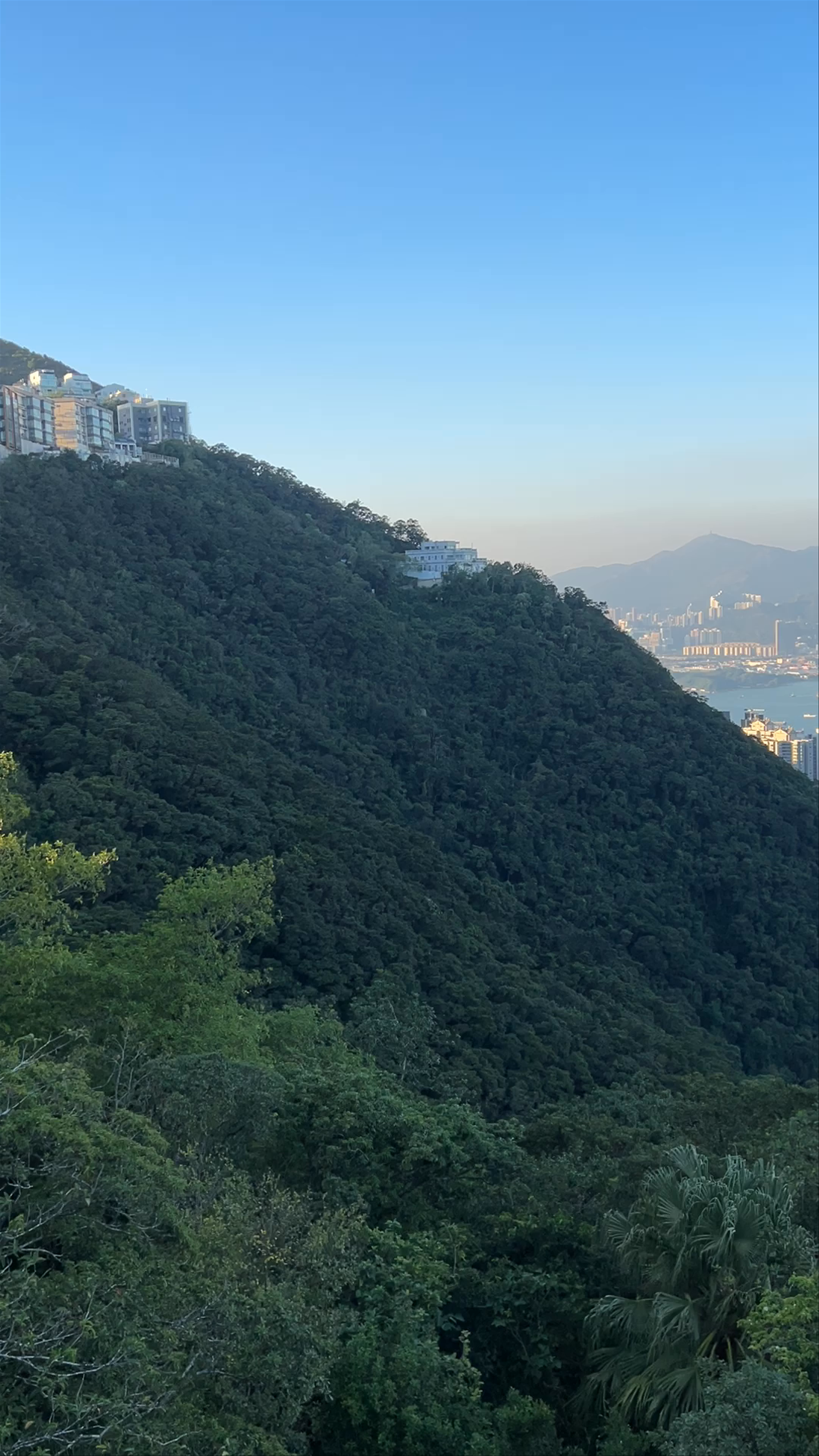 Breathtaking Skyline Views from Victoria Peak, Hong Kong