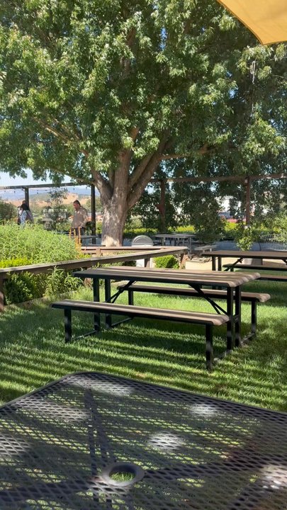 Sarah's Vineyard - Outdoor ambiance - Wine Tasting Room Near Me - Gilroy, California