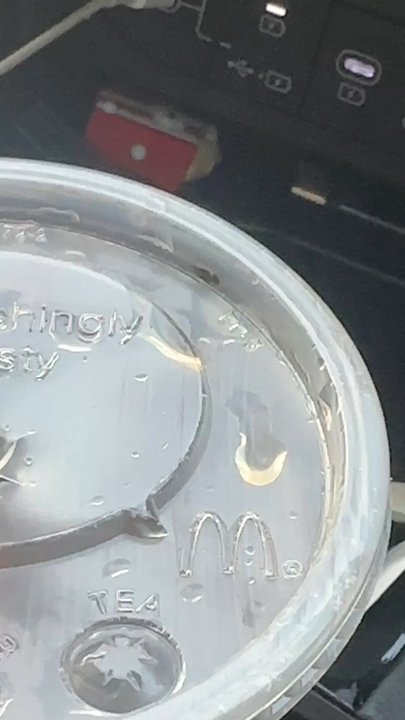McDonald's - Bug in lid ‍ - Fast Food Near Me - Sallisaw, Oklahoma
