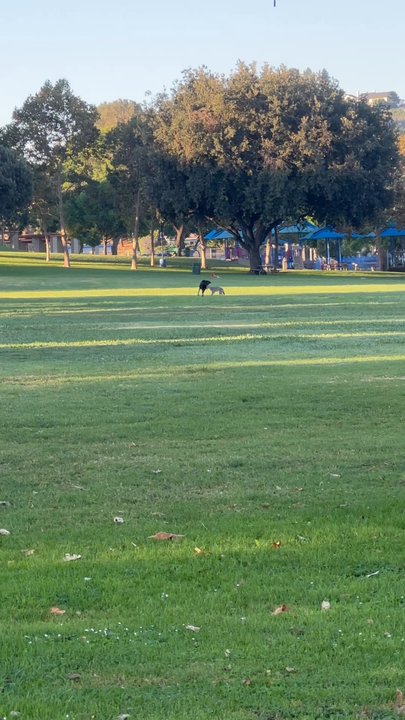 Granada Park - Parks Near Me - Alhambra, California