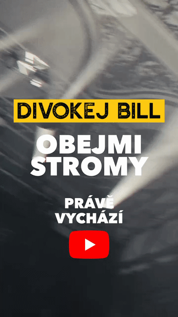 DivokejBill