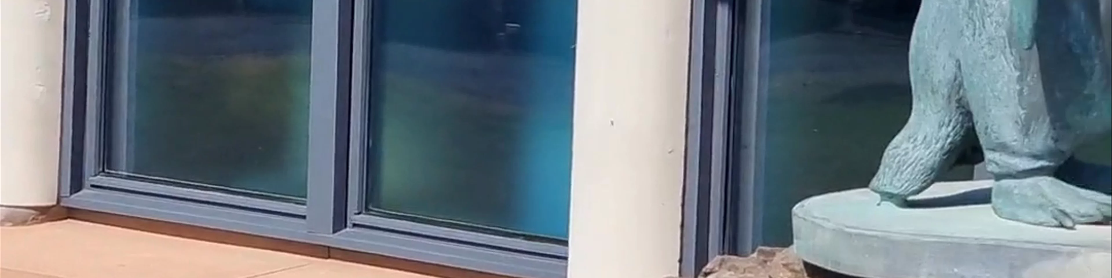 Scottish Seabird Centre