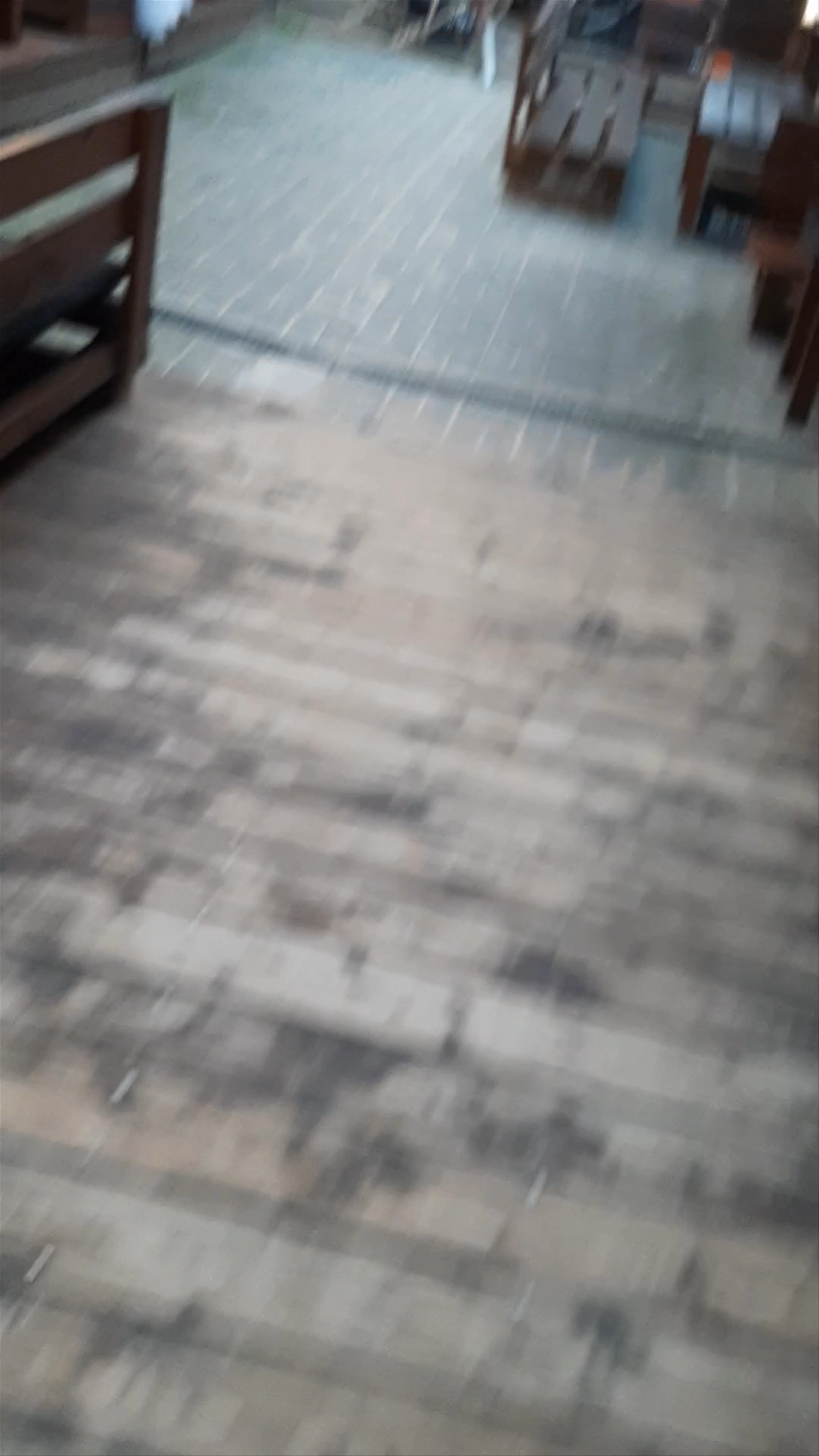 Biała Małpa Mexico