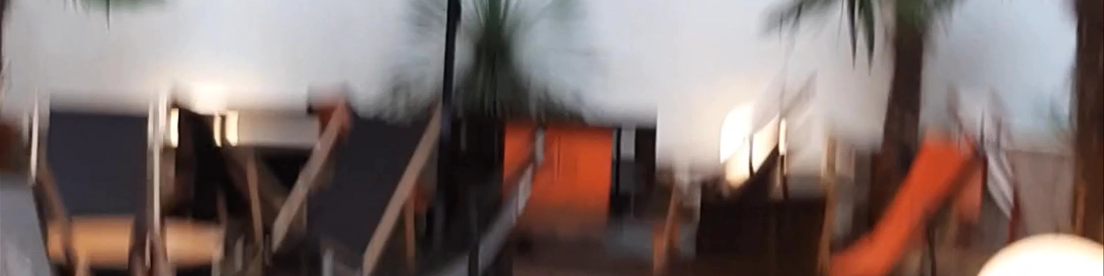 Biała Małpa Mexico