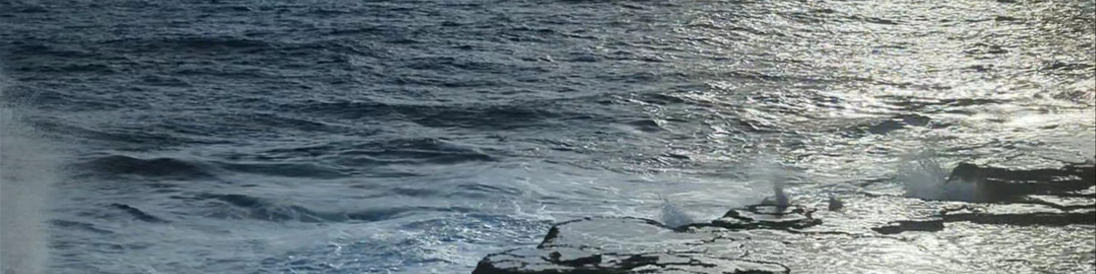 Mapu'a Vaea Blowholes