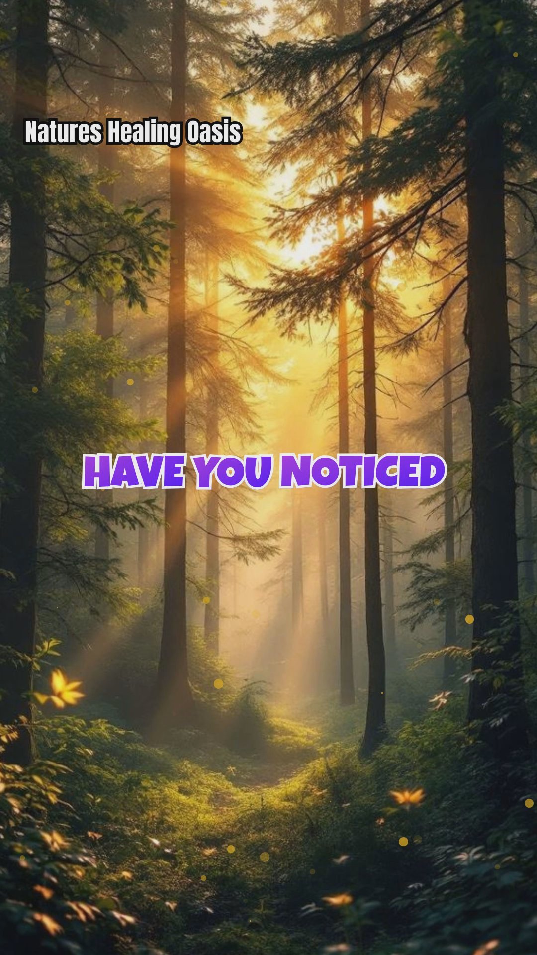 How Trees Tune Your Mood with the Day