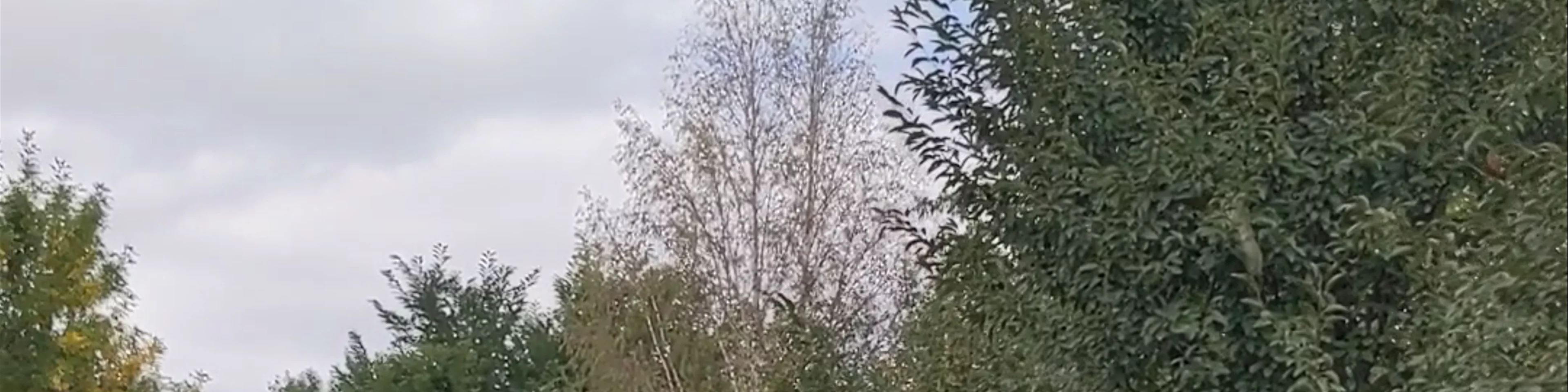 Victory Park Gyumri