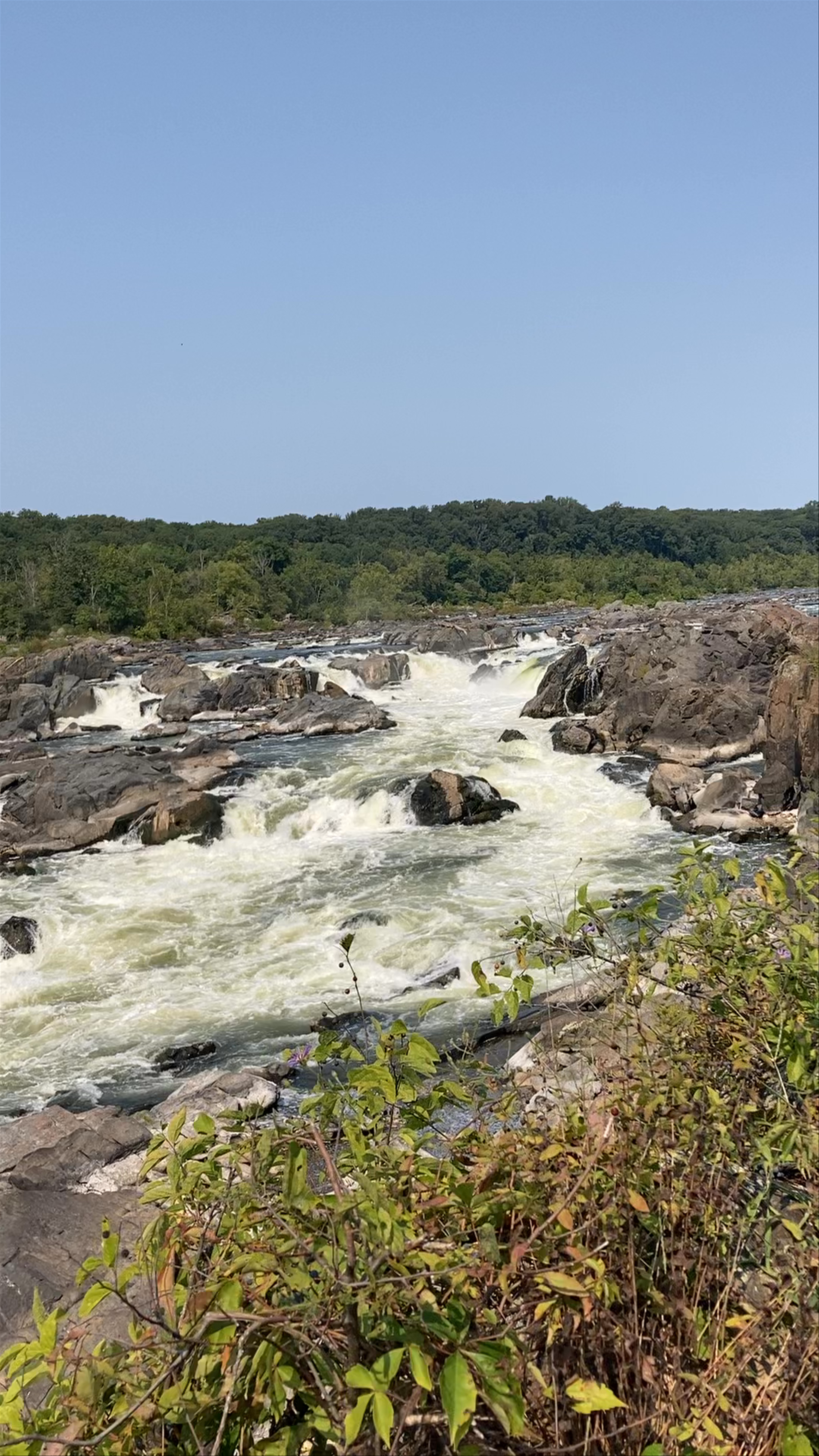 Great Falls Park