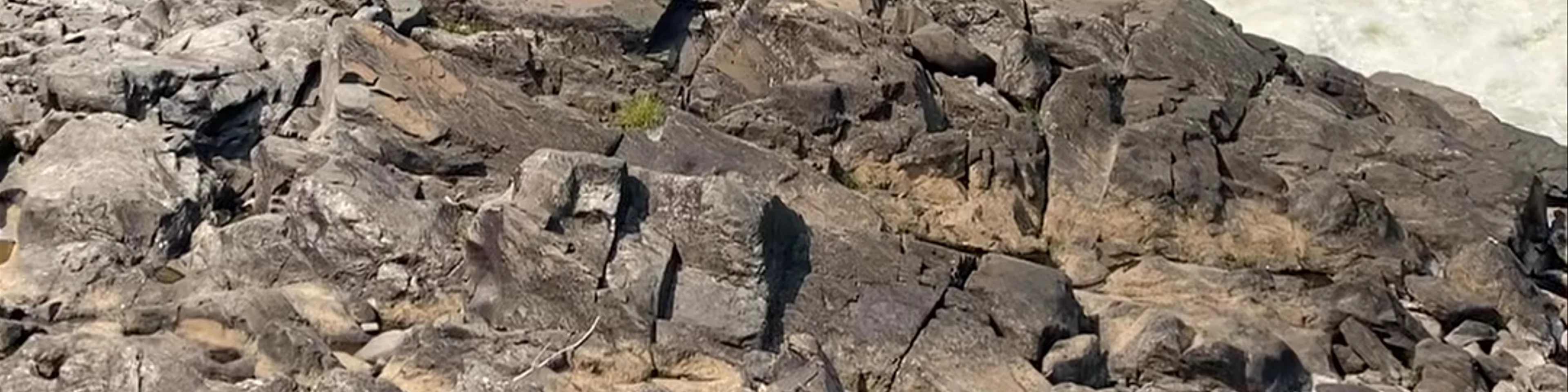 Great Falls Park
