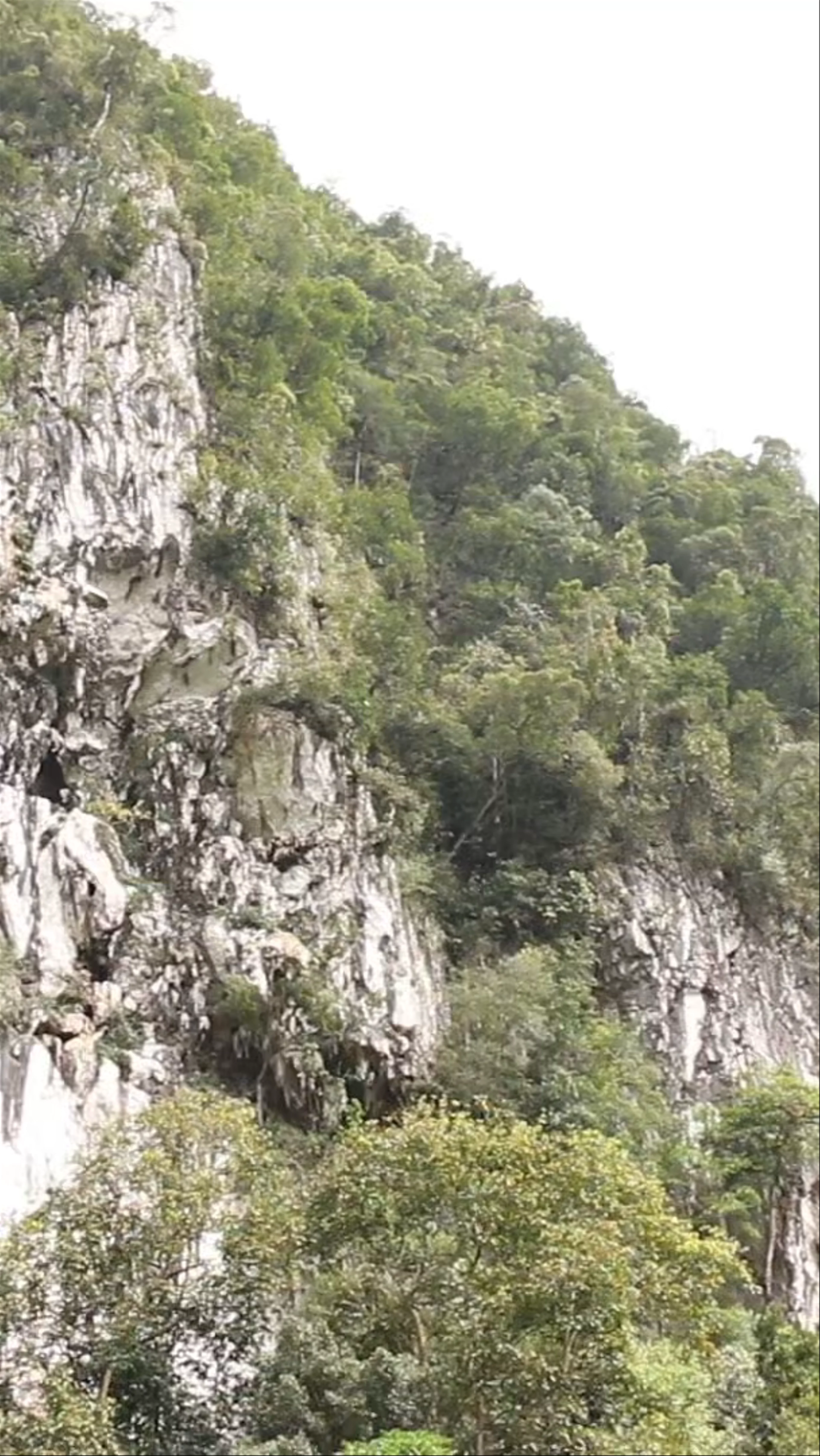 Deer Cave, Gunung Mulu National Park, Taman Negara, Miri, Sarawak, Malaysia