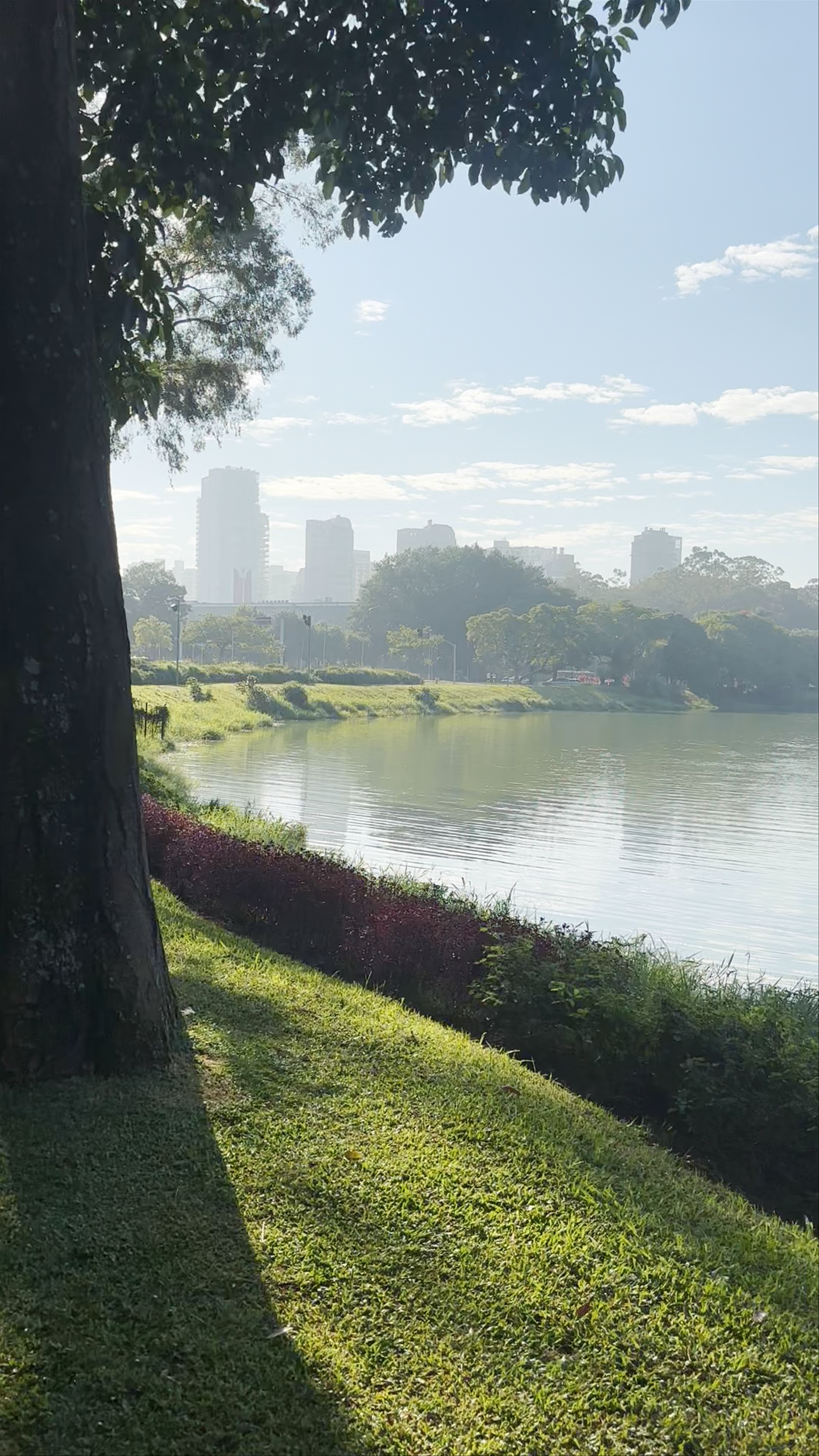 Monumento às Bandeiras - Praça Armando de Sales Oliveira - Vila Mariana