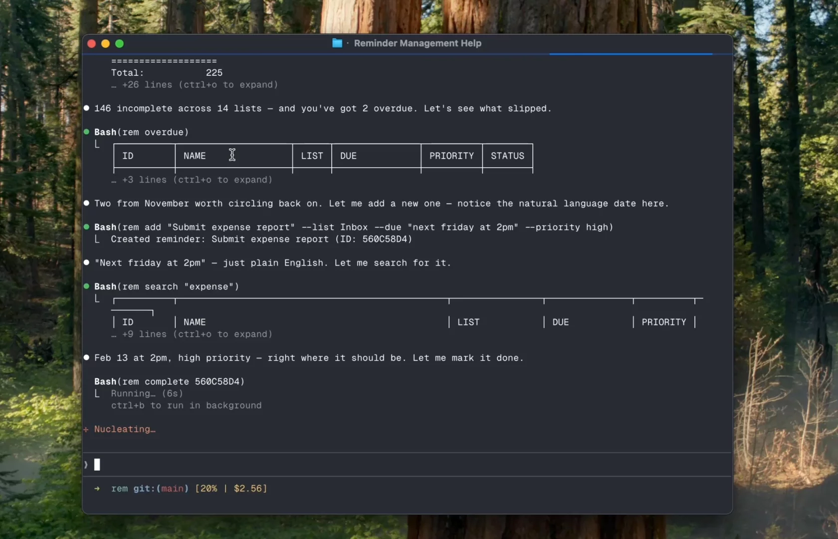 rem - a CLI for macOS Reminders image 1