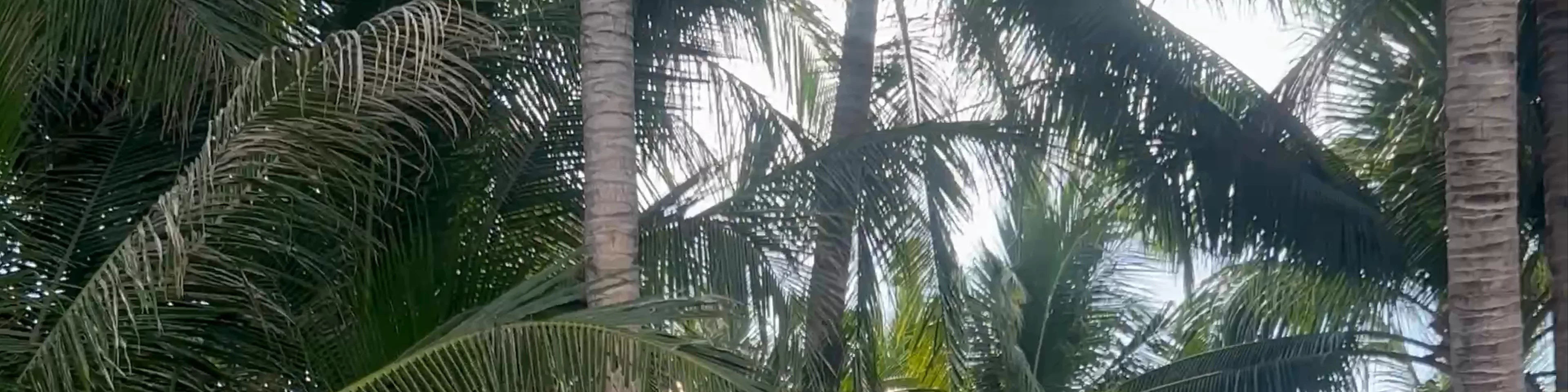 morong bataan