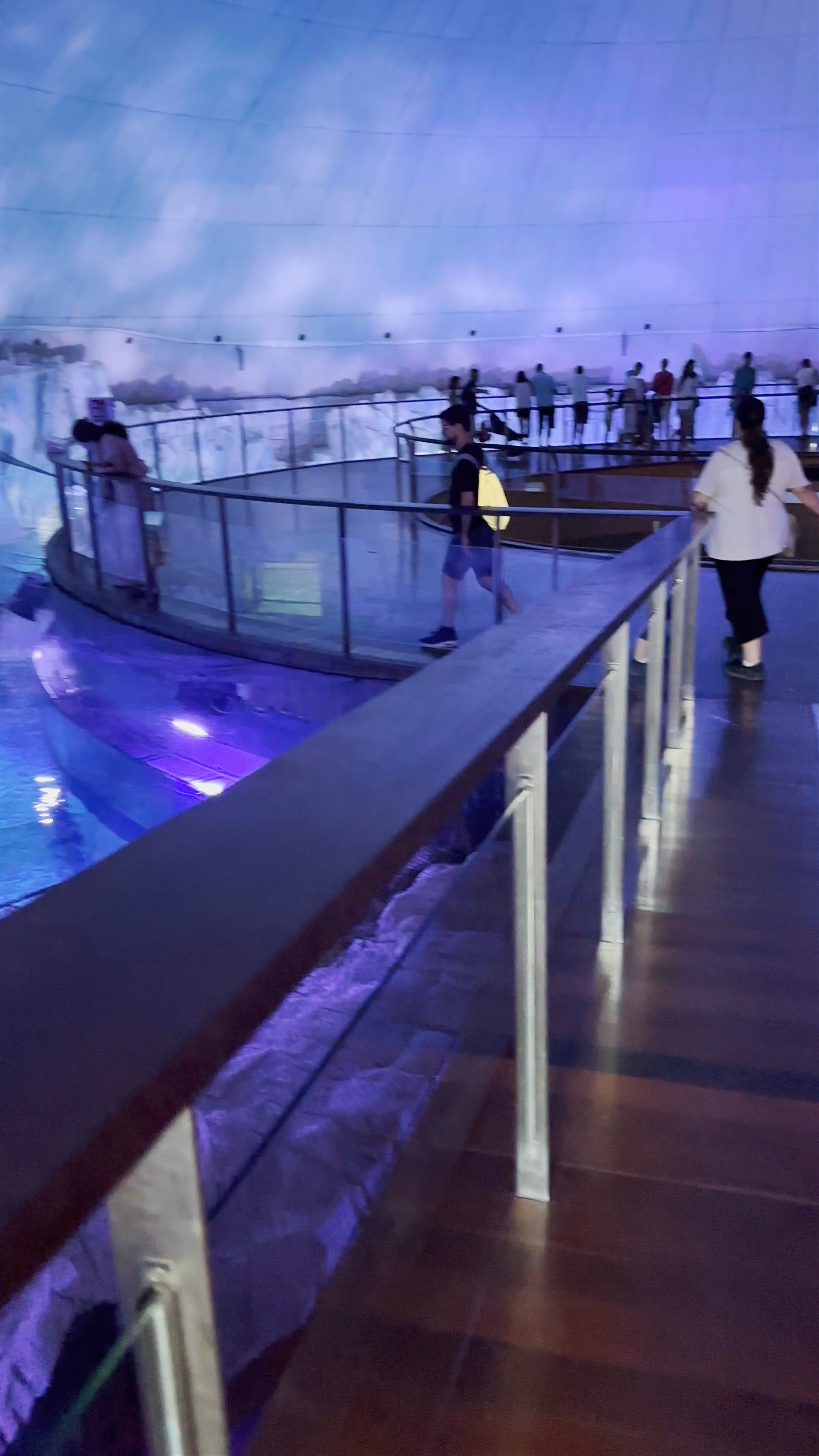 Immersive Experience at Oceanogràfic Valencia: Underwater Wonderland