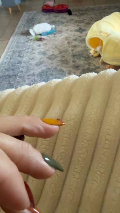 T Nails - What I got 20 mins after leaving - Nail Salons Near Me - St. Petersburg, Florida