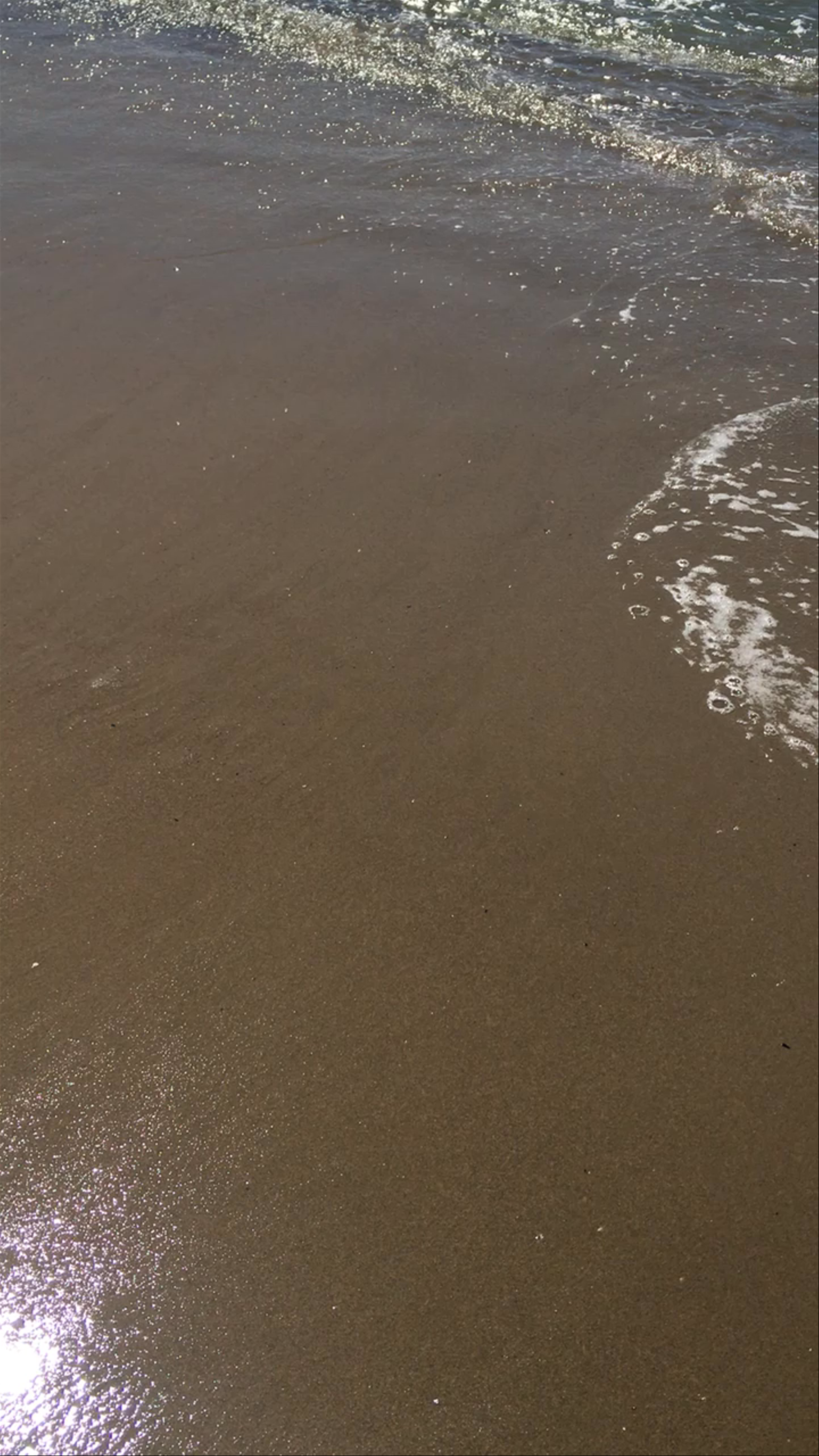Sunny Stroll Along Venice Beach, Los Angeles