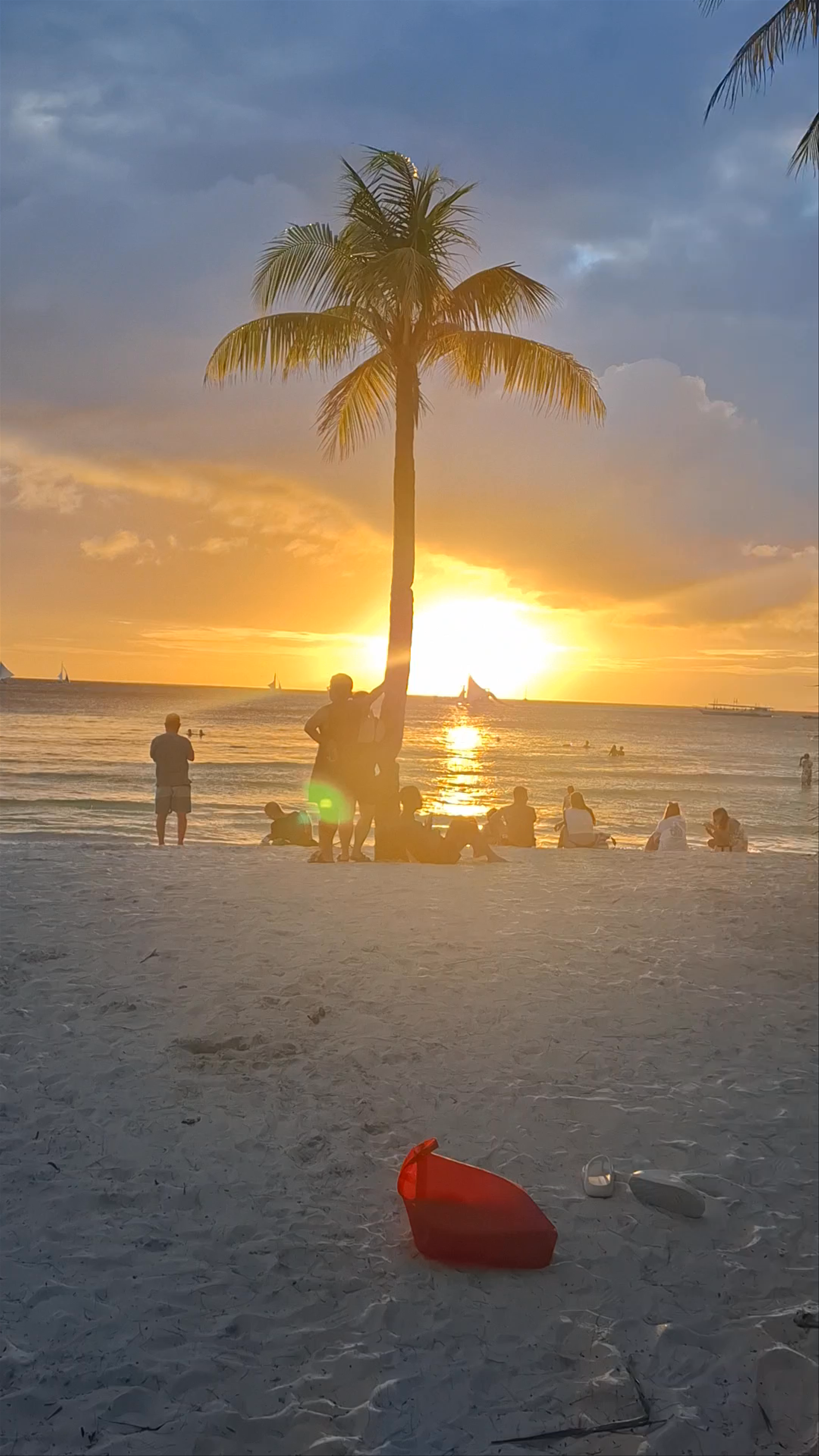 Leaning Coconut Tree