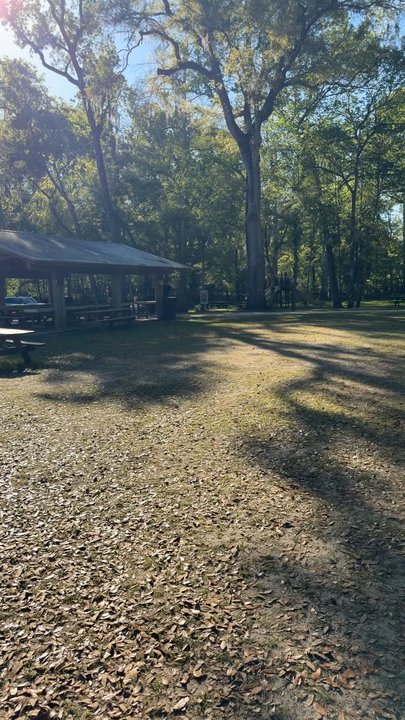 Ginnie Spring - Rafting/Kayaking Near Me - High Springs, Florida