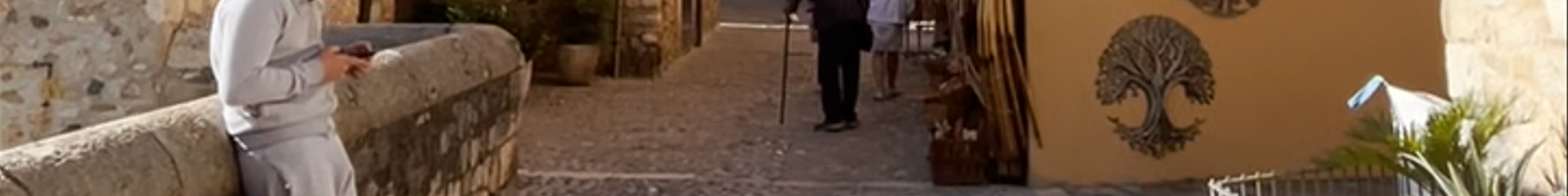 Tours & experiences in Besalú