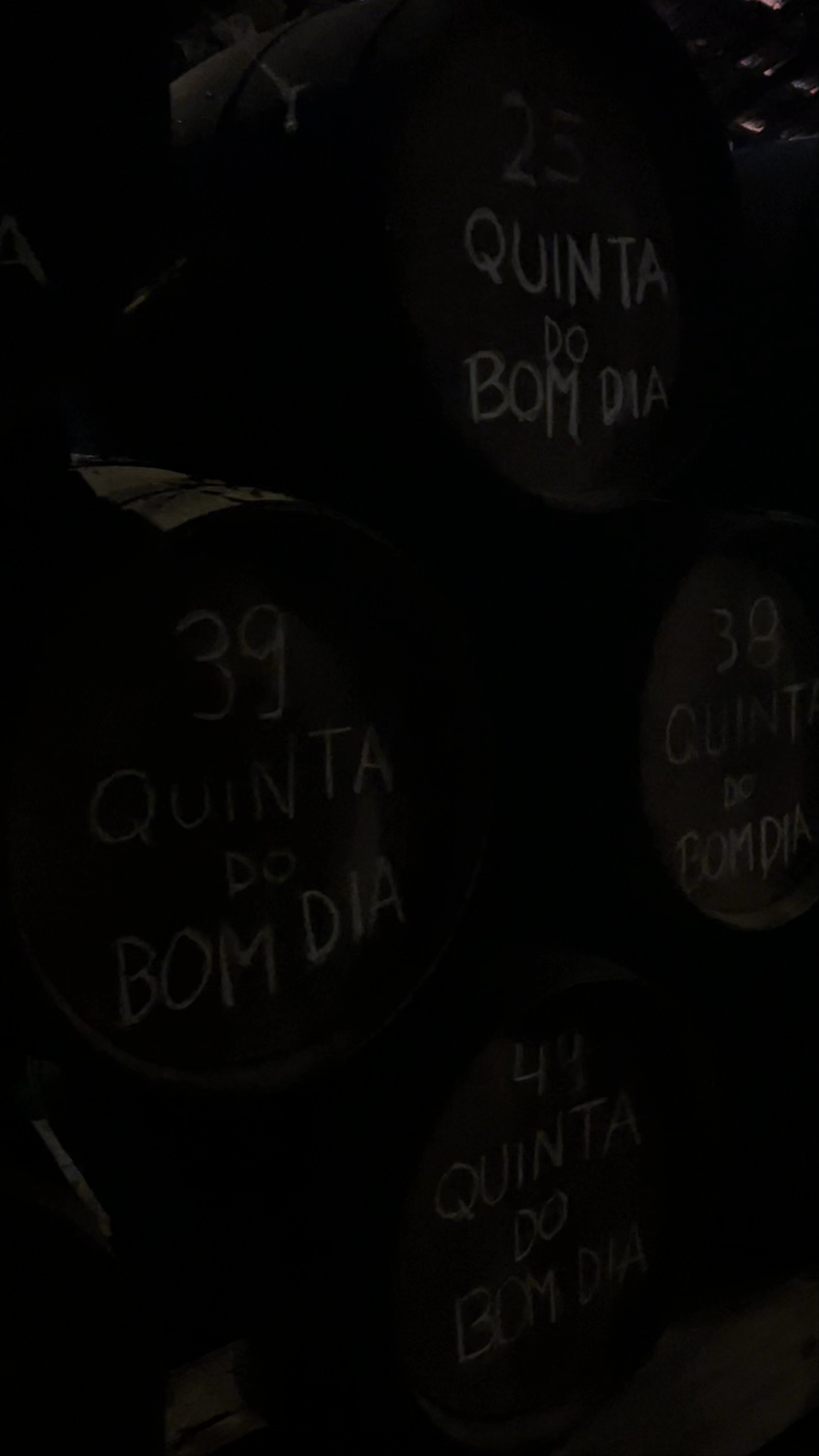 Quinta Do Bom Dia: A Journey into Portugal's Timeless Wine Cellar