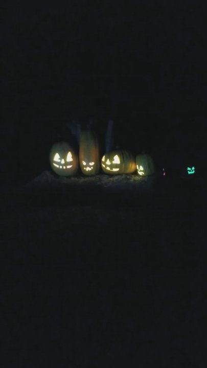 Jack's Pumpkin Glow - Talking pumpkins! - Festivals Near Me - Lisle, Illinois