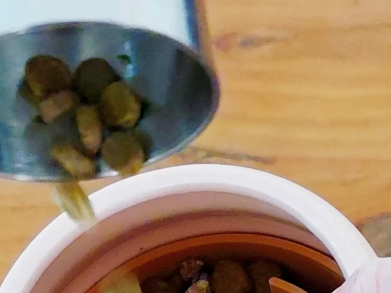 Animals Like Us RawMix33 | Coles Launch UGC - Dog Reaction + Retail CTA