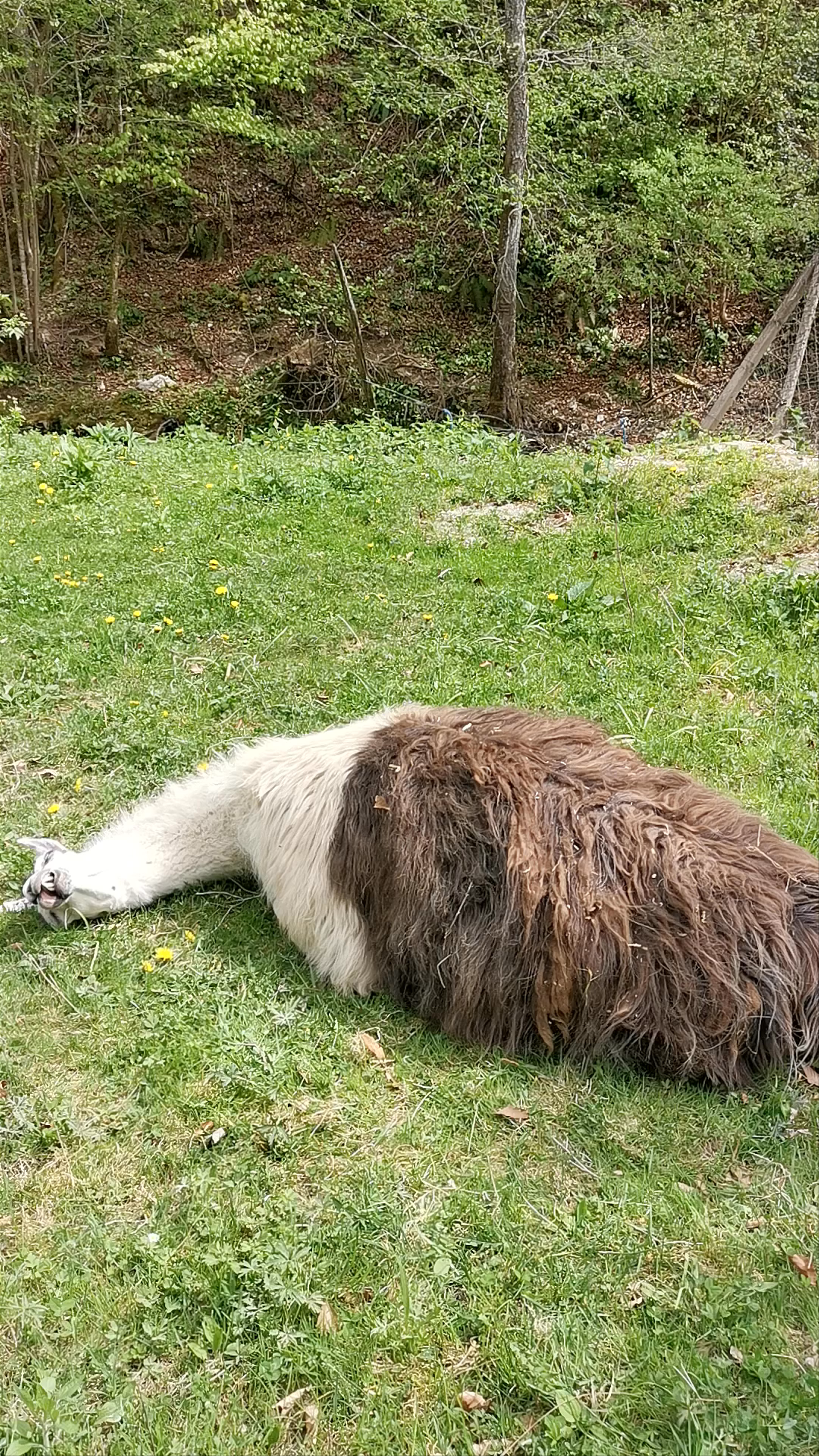 Bio park Divlje vode