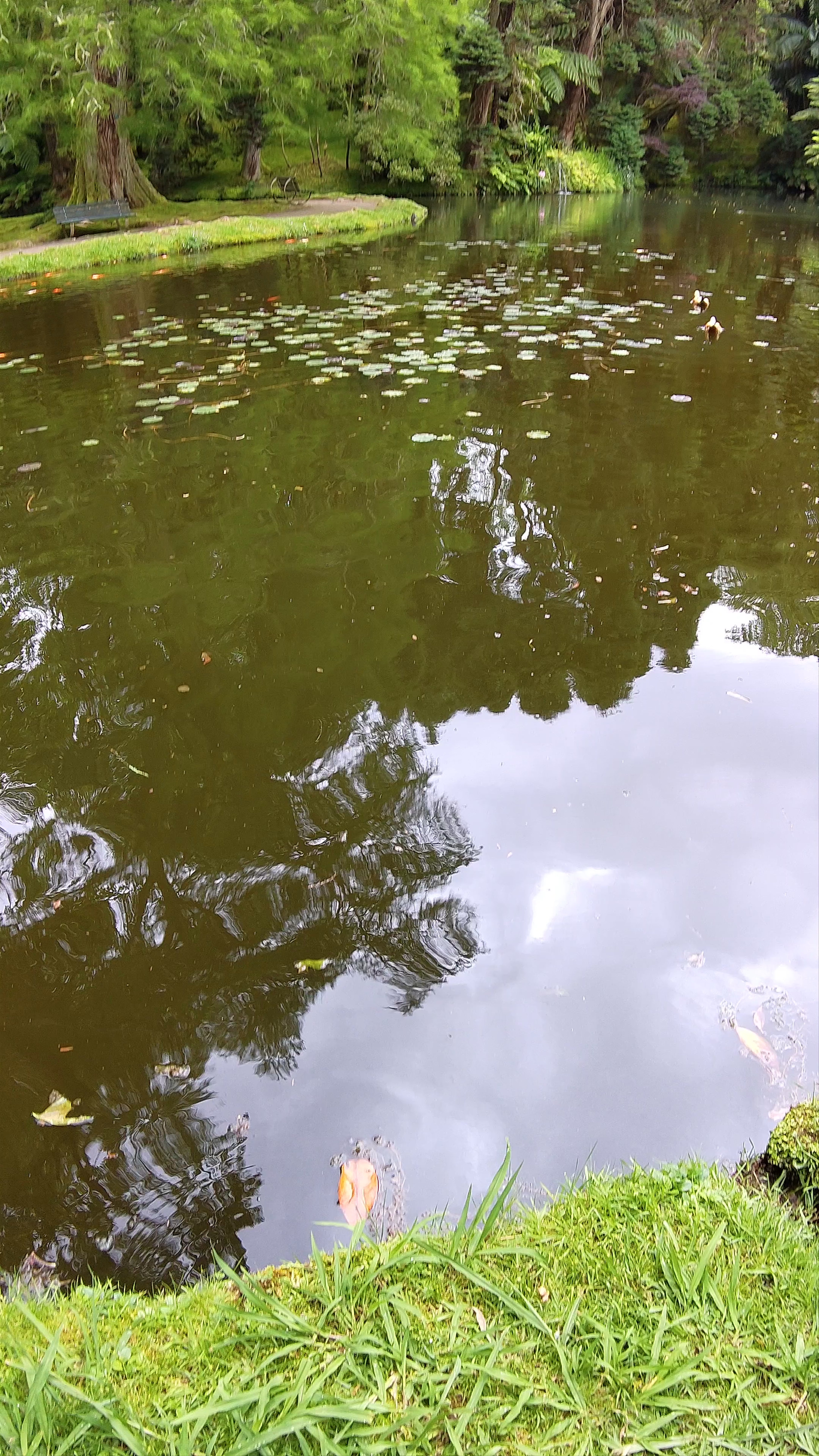 Discover Serenity at Parque Terra Nostra, Furnas, Portugal