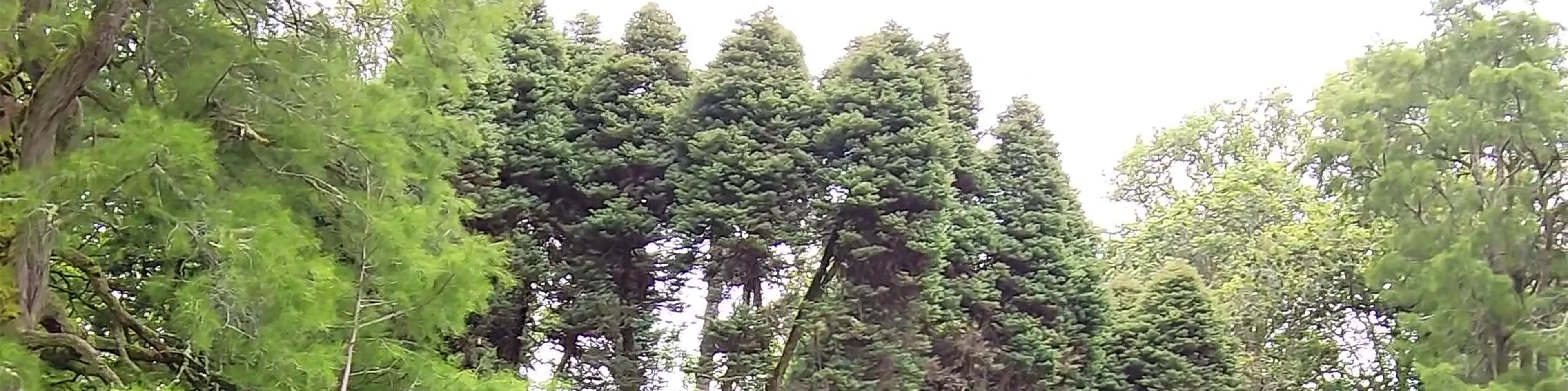 Parque Terra Nostra