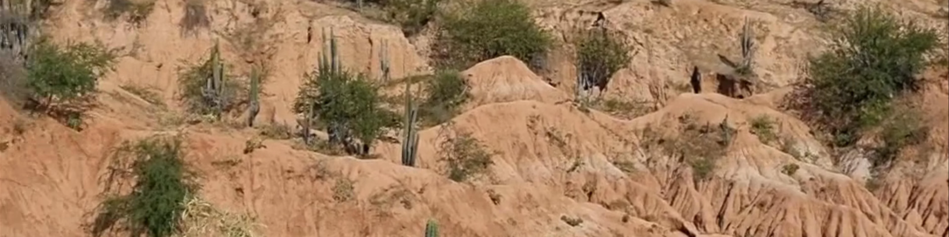 Desierto de la Tatacoa