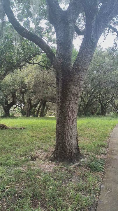 Westridge Open Space Area - Parks Near Me - Davie, Florida