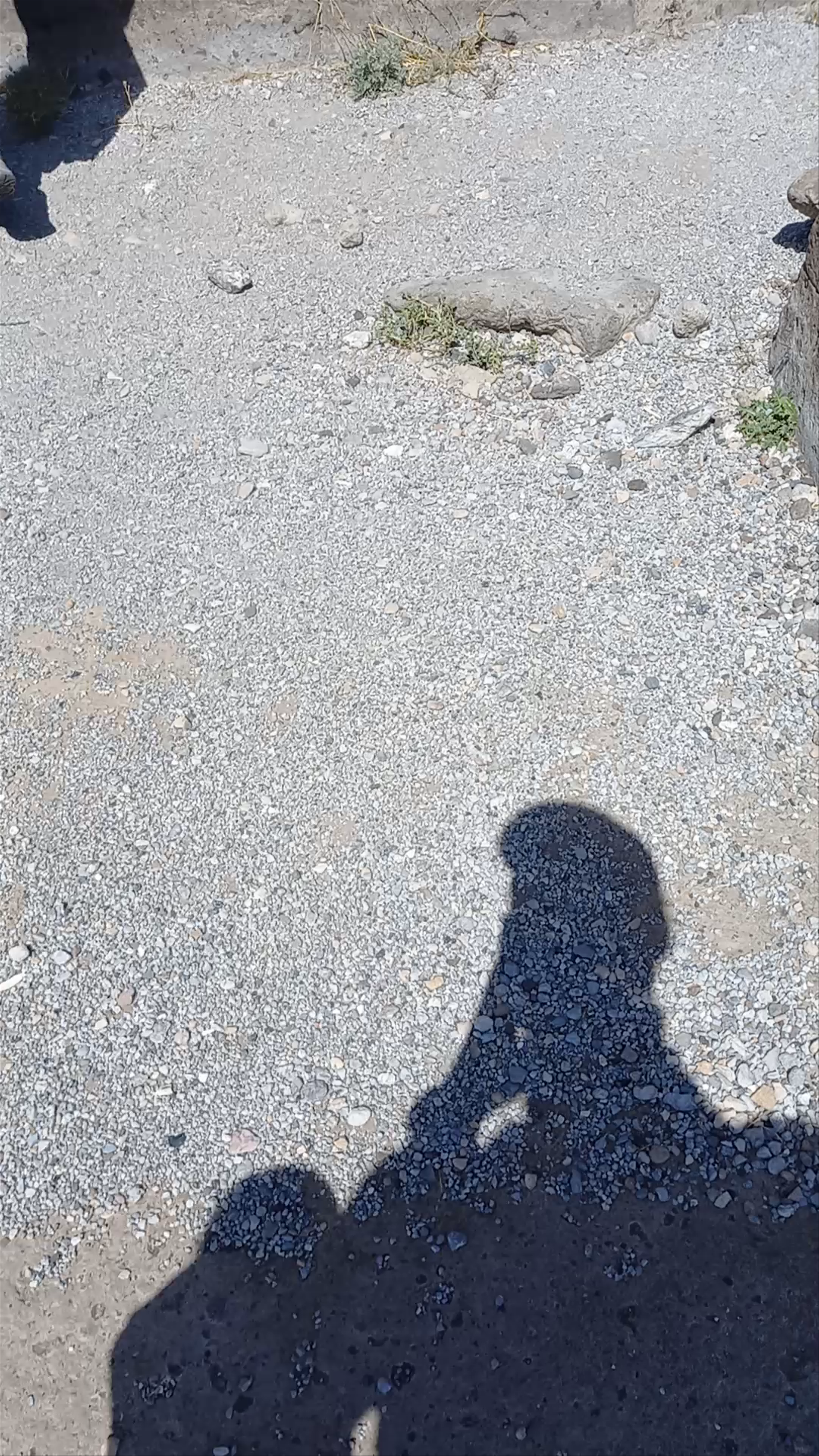 St. Gregory of Gagik