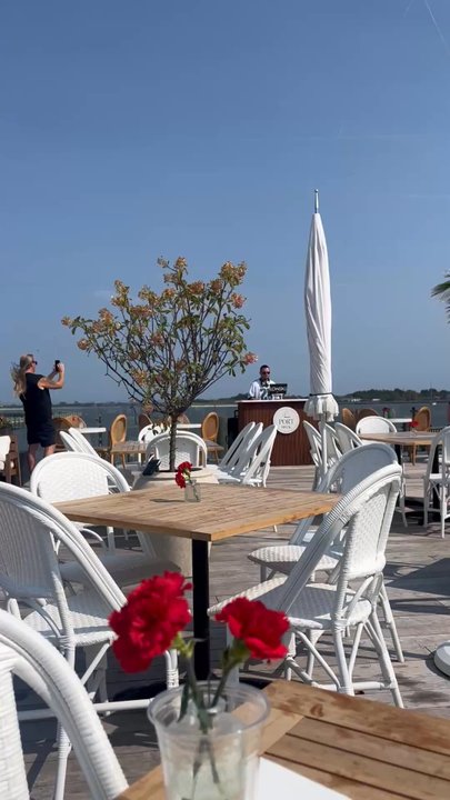 Port Marina - Dj - Cocktail Bars Near Me - Cape May, New Jersey
