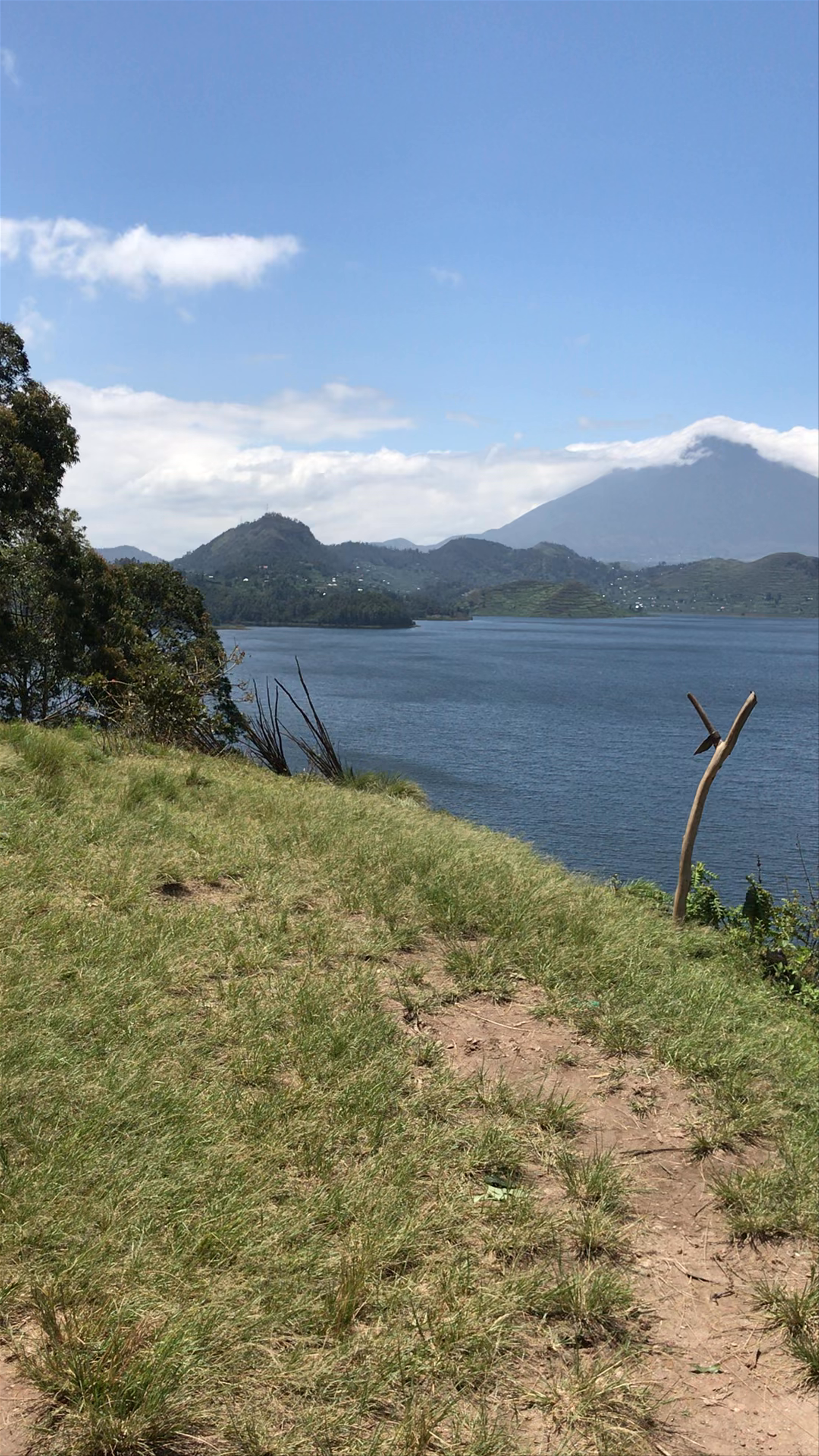 Bwindi Impenetrable Forest