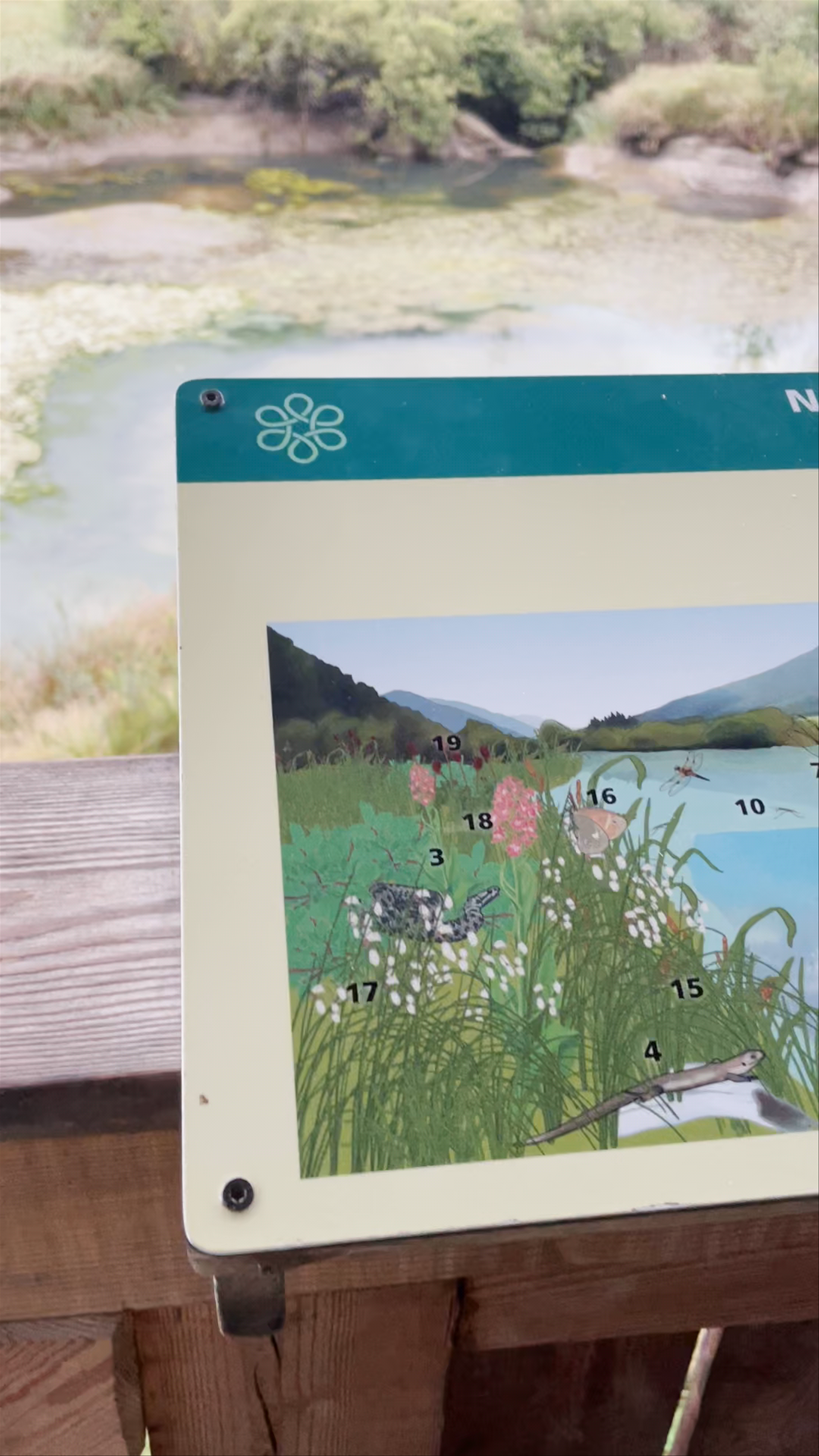 Zelenci Nature Reserve