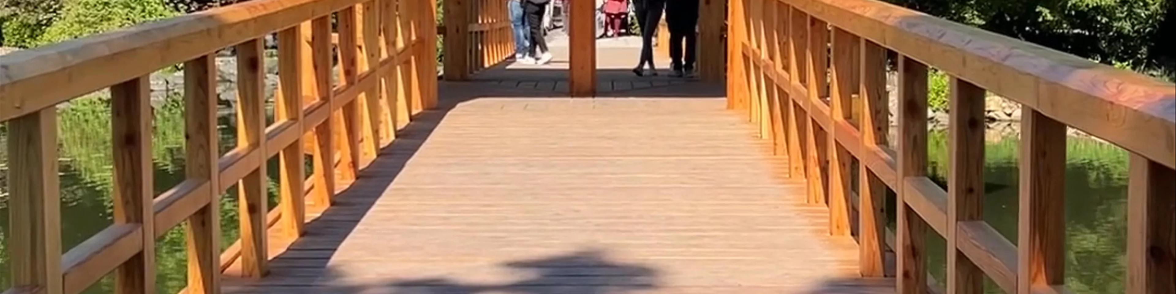 Japanese Garden