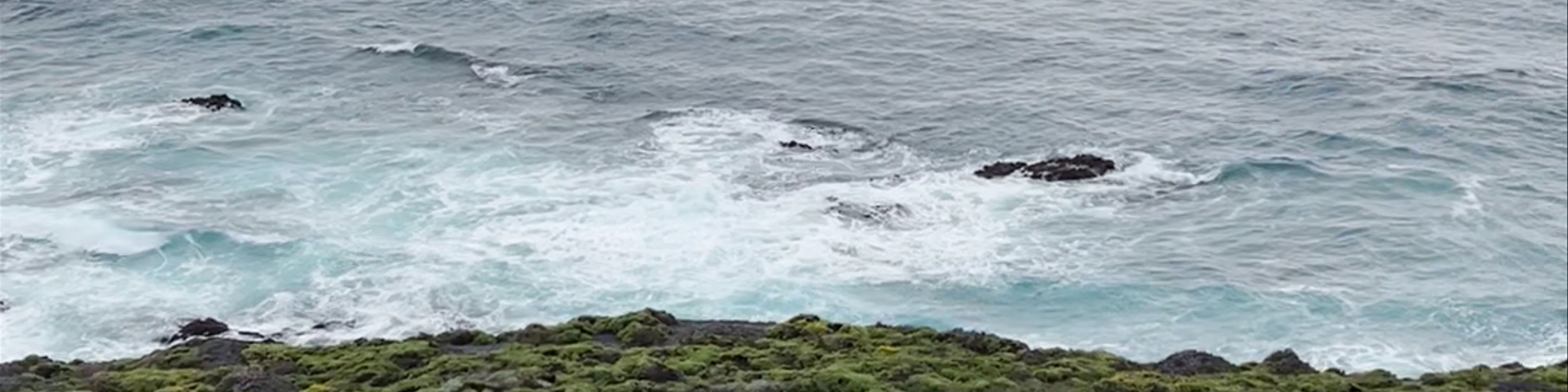 Monterey Bay Kayaks