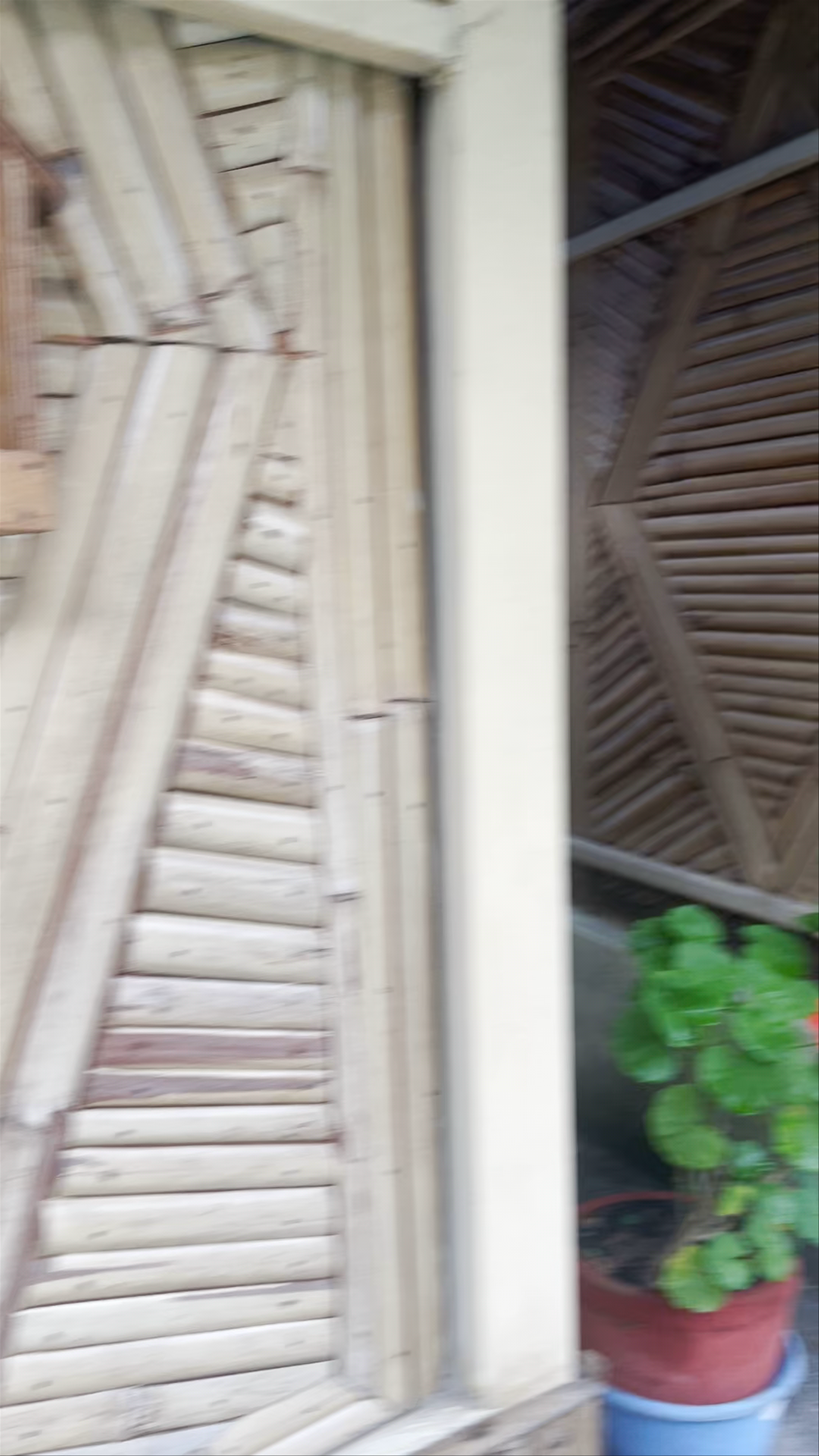 OYO 344 Babylon Bamboo House