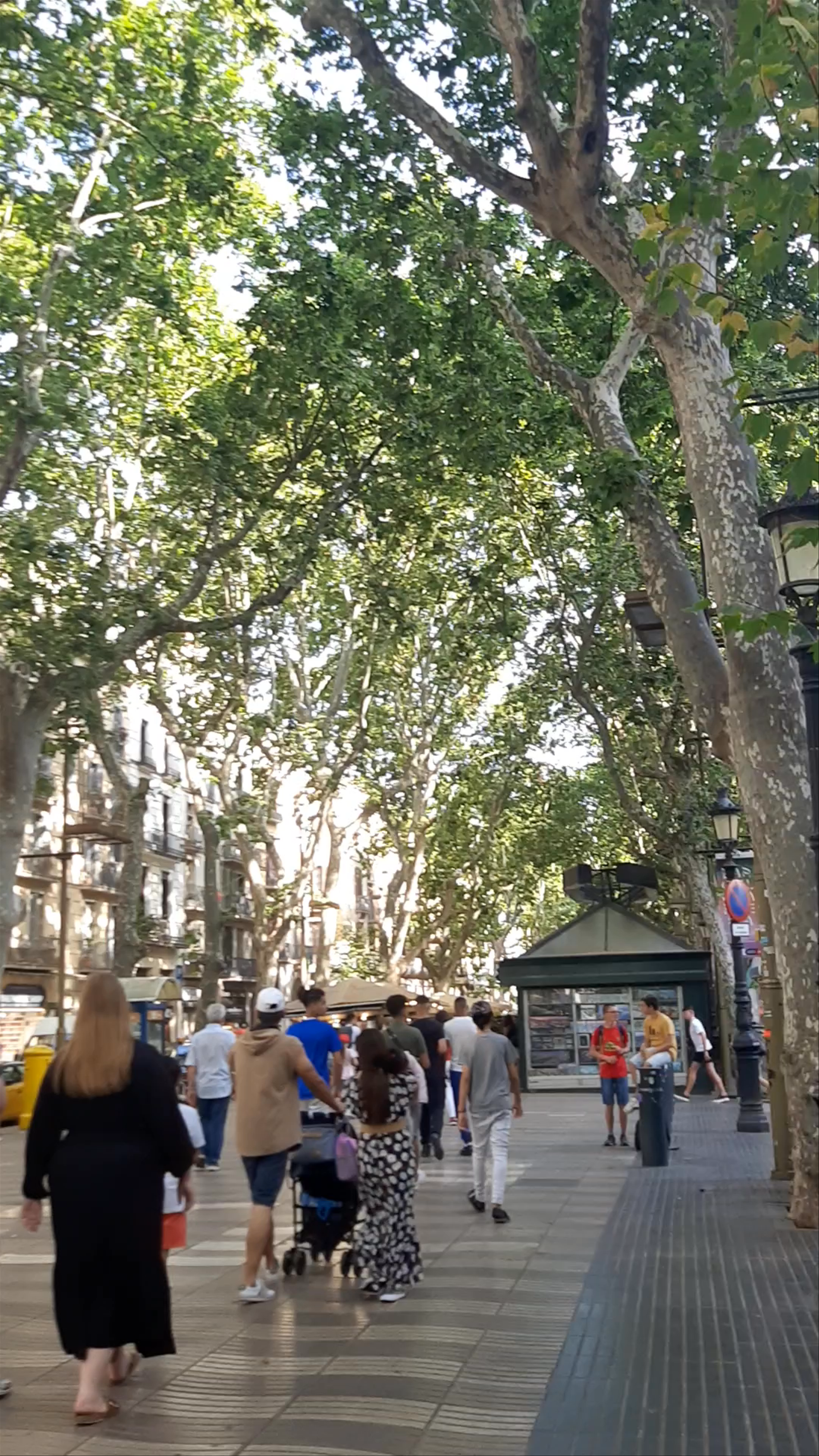 La Rambla: The Vibrant Heartbeat of Barcelona