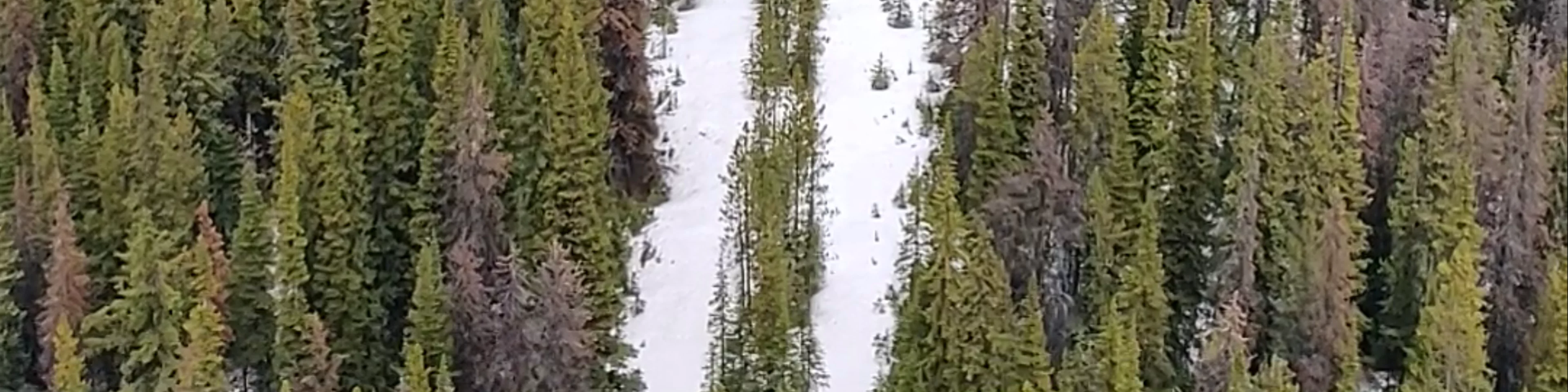 Jasper SkyTram