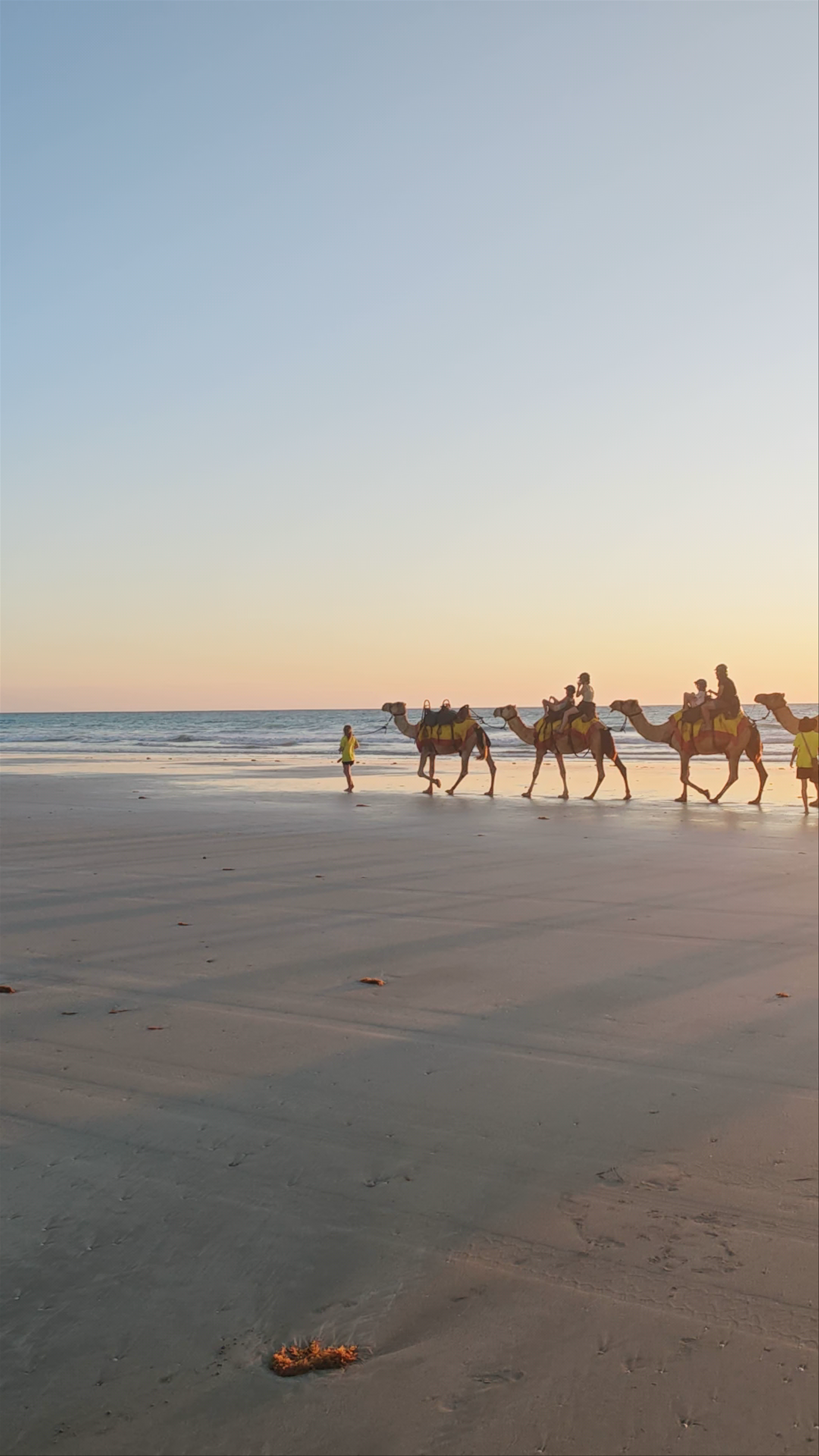 Cable Beach Camels - Camel Rides