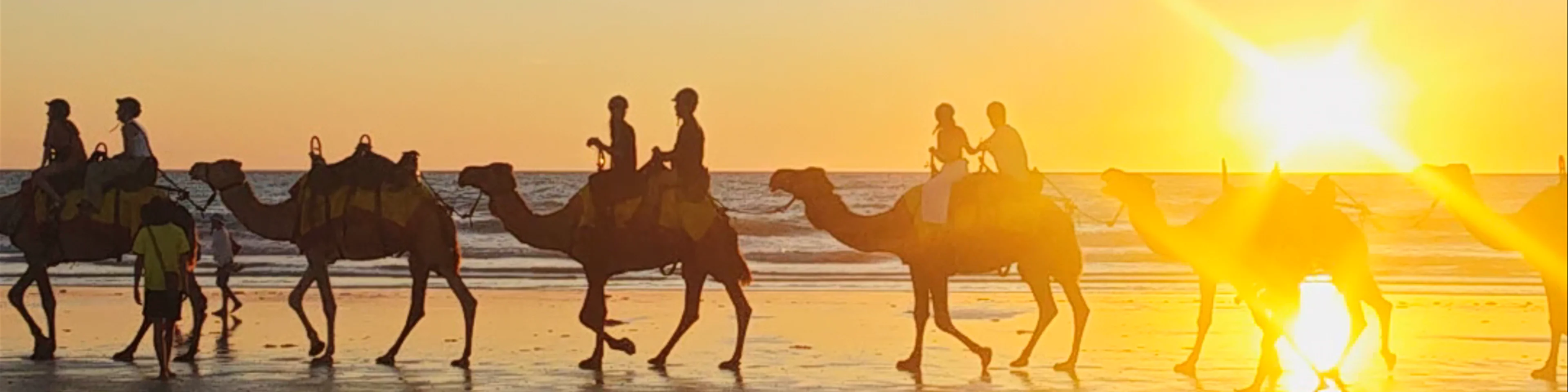 Cable Beach Camels - Camel Rides