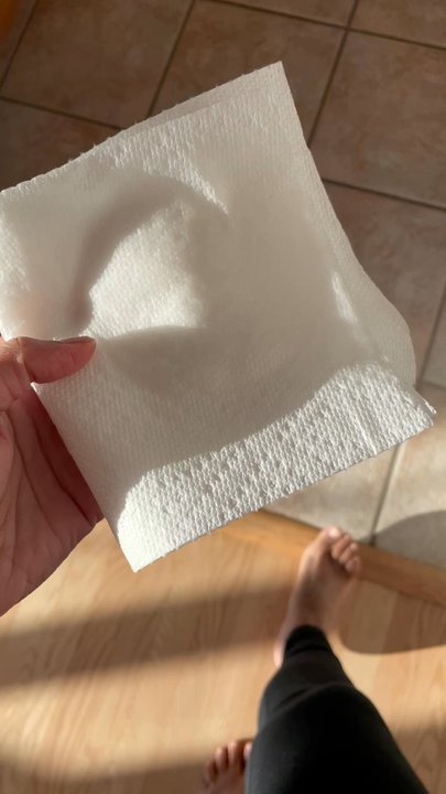 Edel Cleaning - Home Cleaning Near Me - River Grove, Illinois