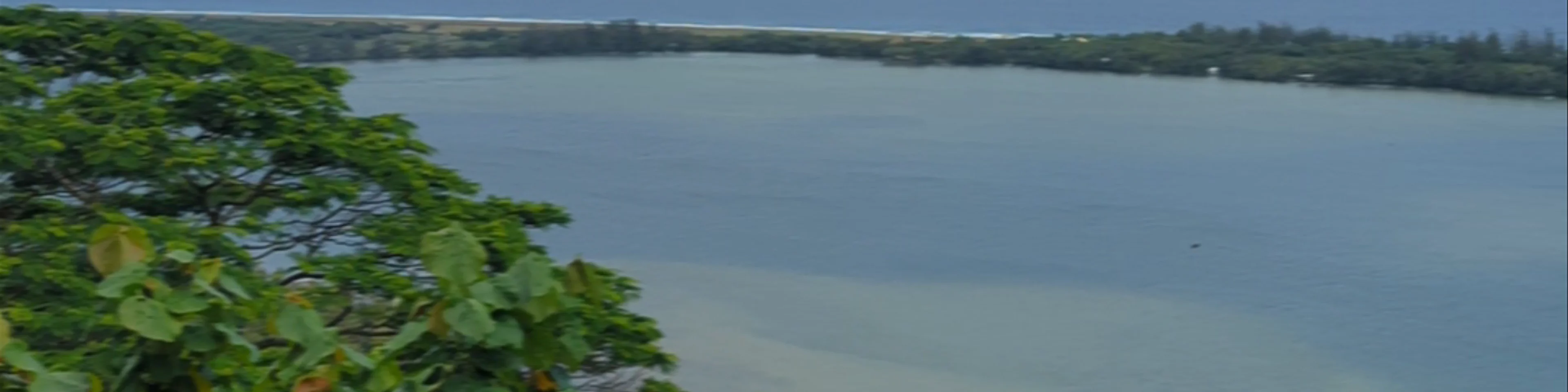 Mount Tapu Hiking Trail