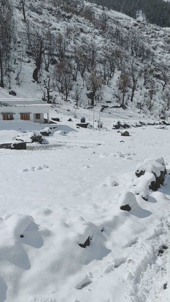 Photo of #extremecold Har-ki