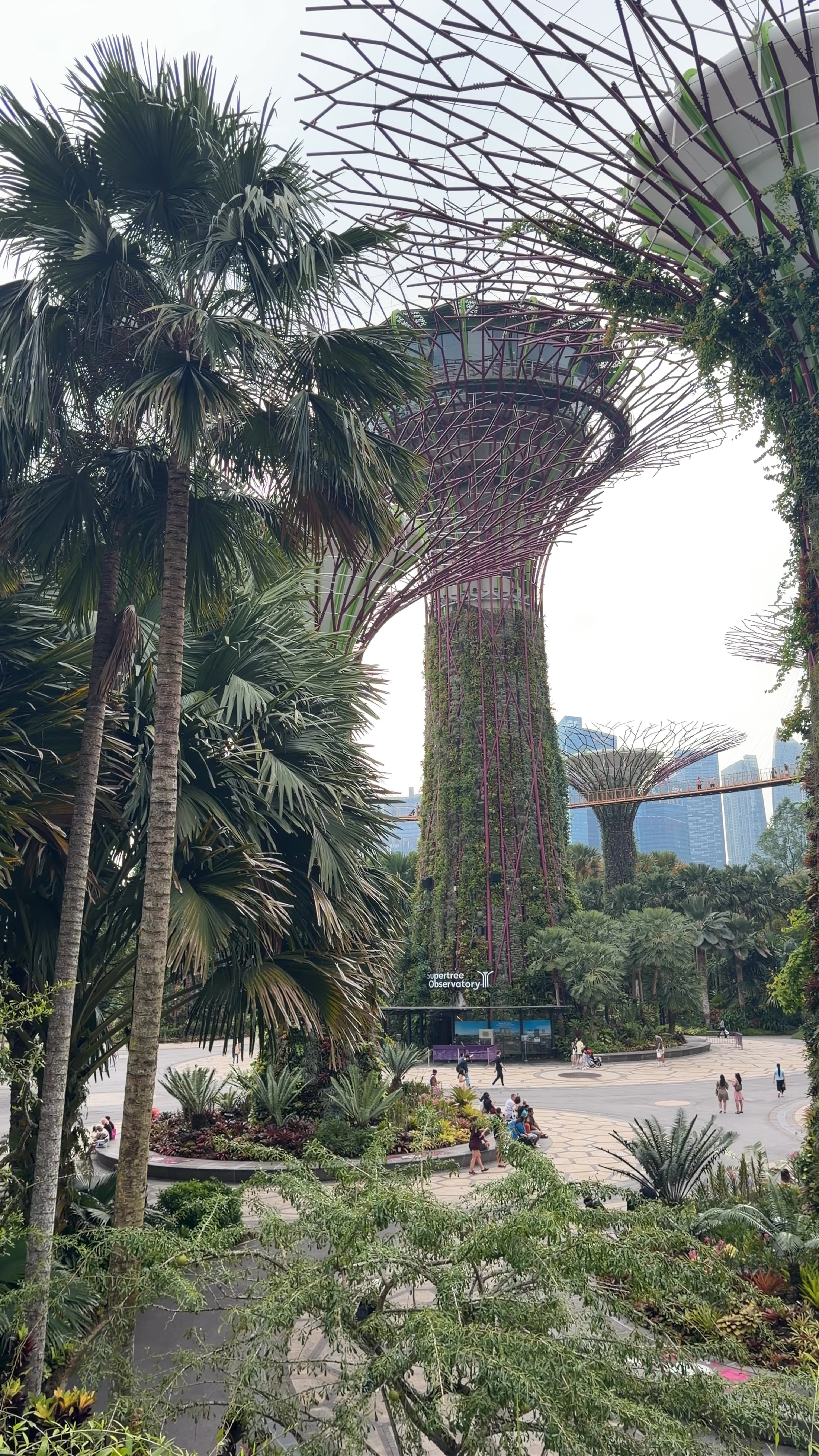 Marina Gardens Drive