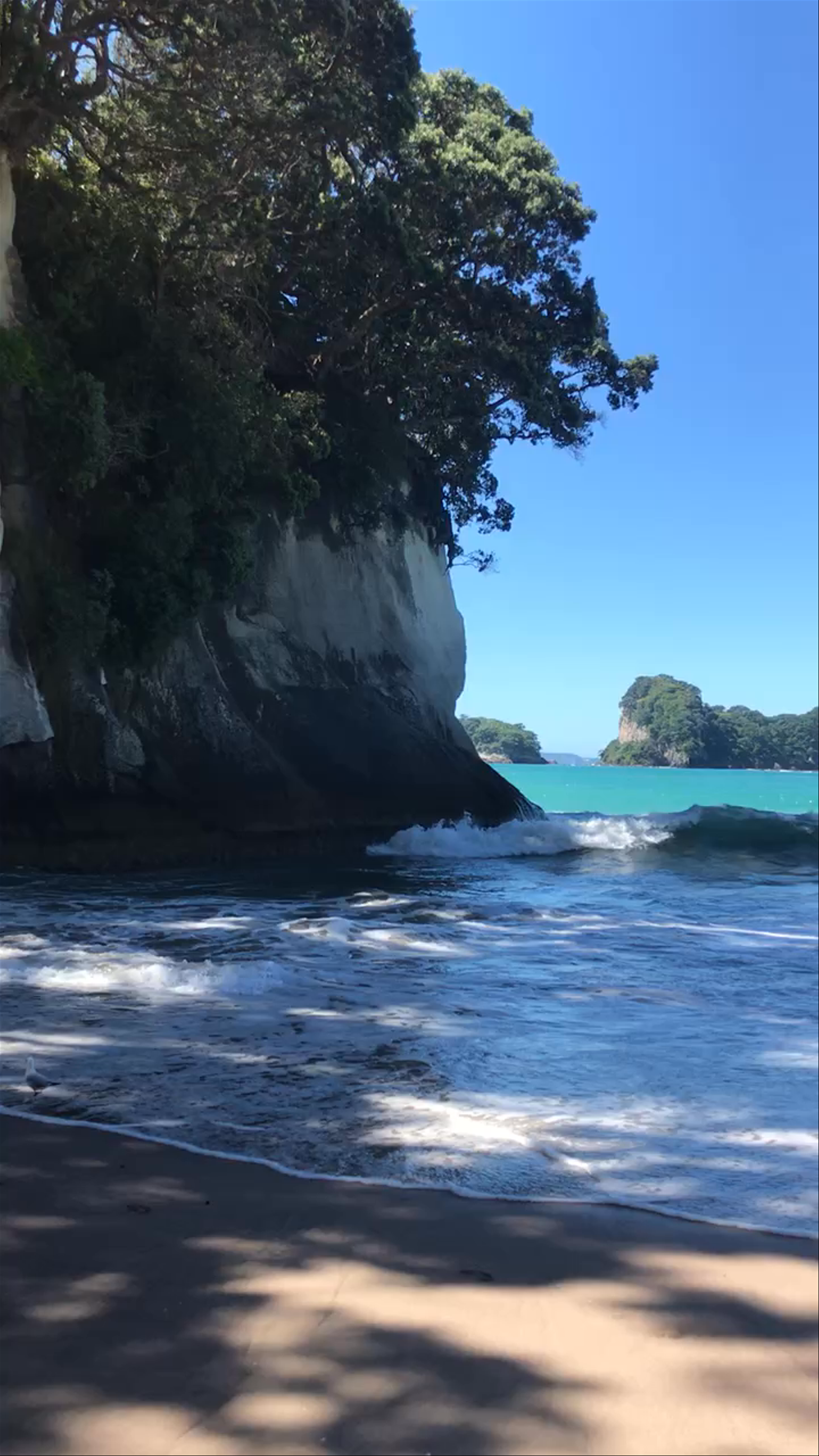 Cathedral Cove